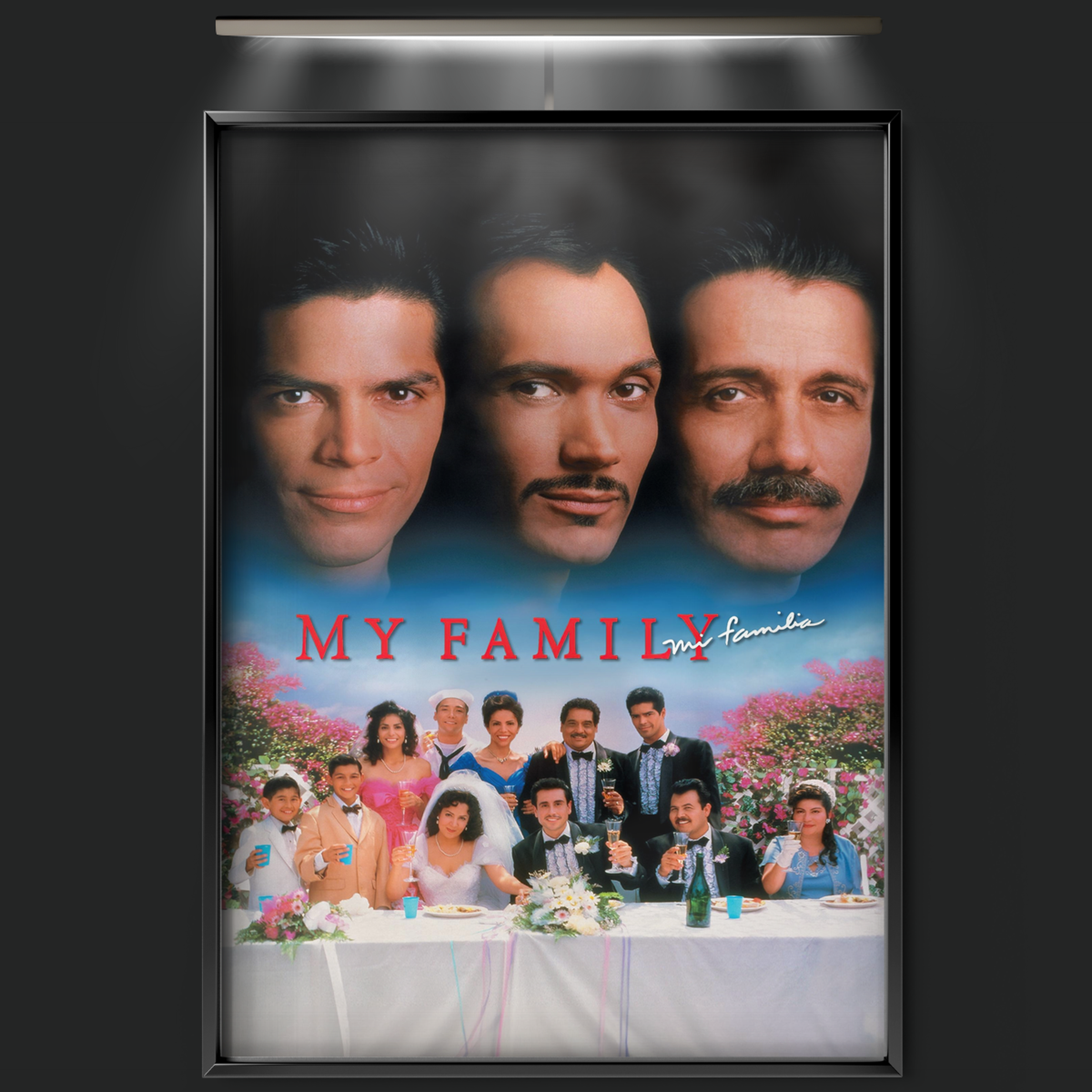My Family (1995)