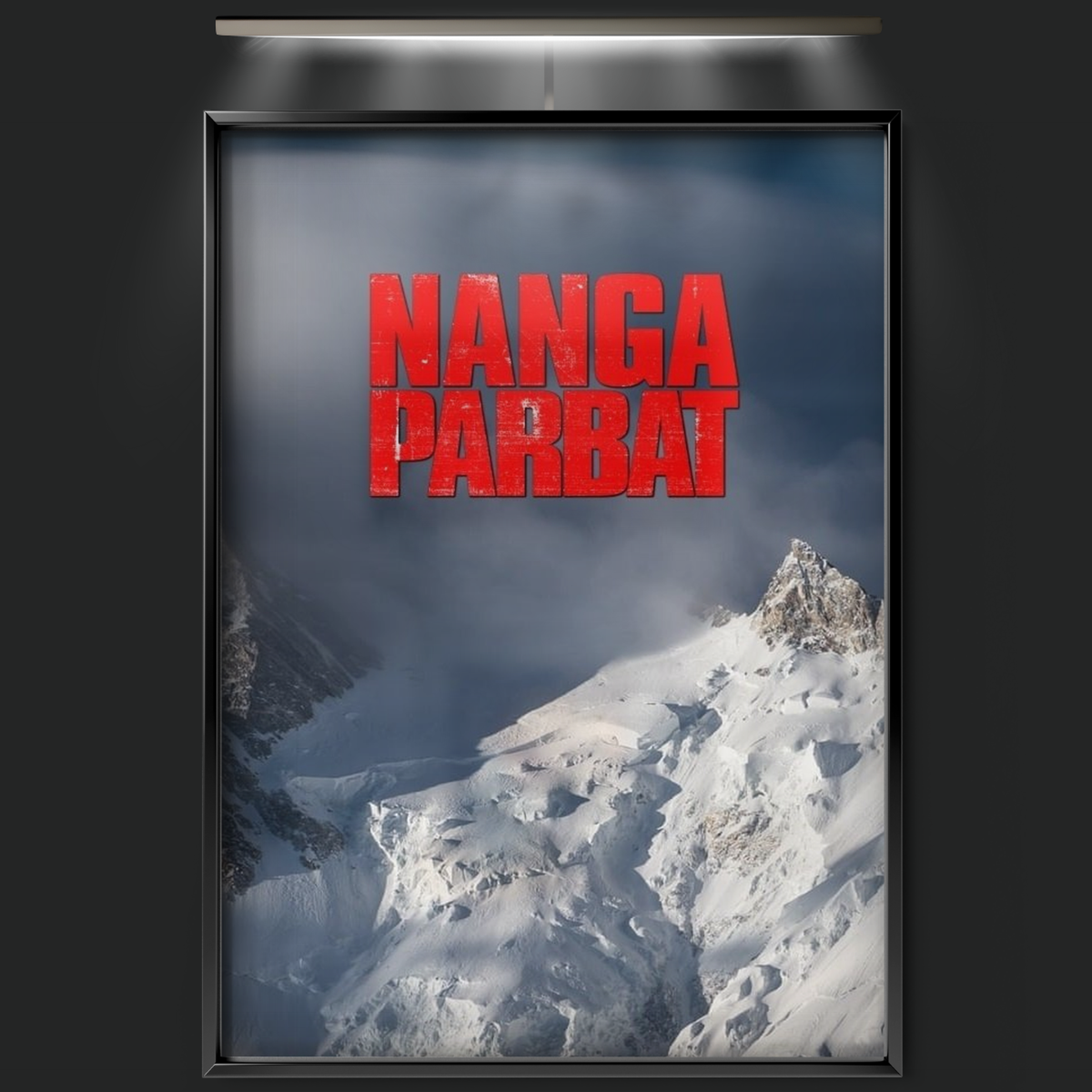 Nanga Parbat (2010)