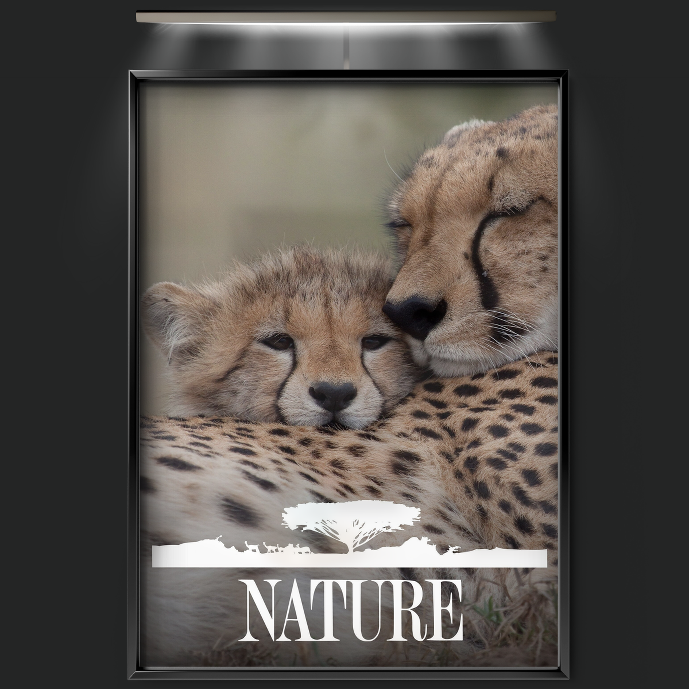 Nature (1982)
