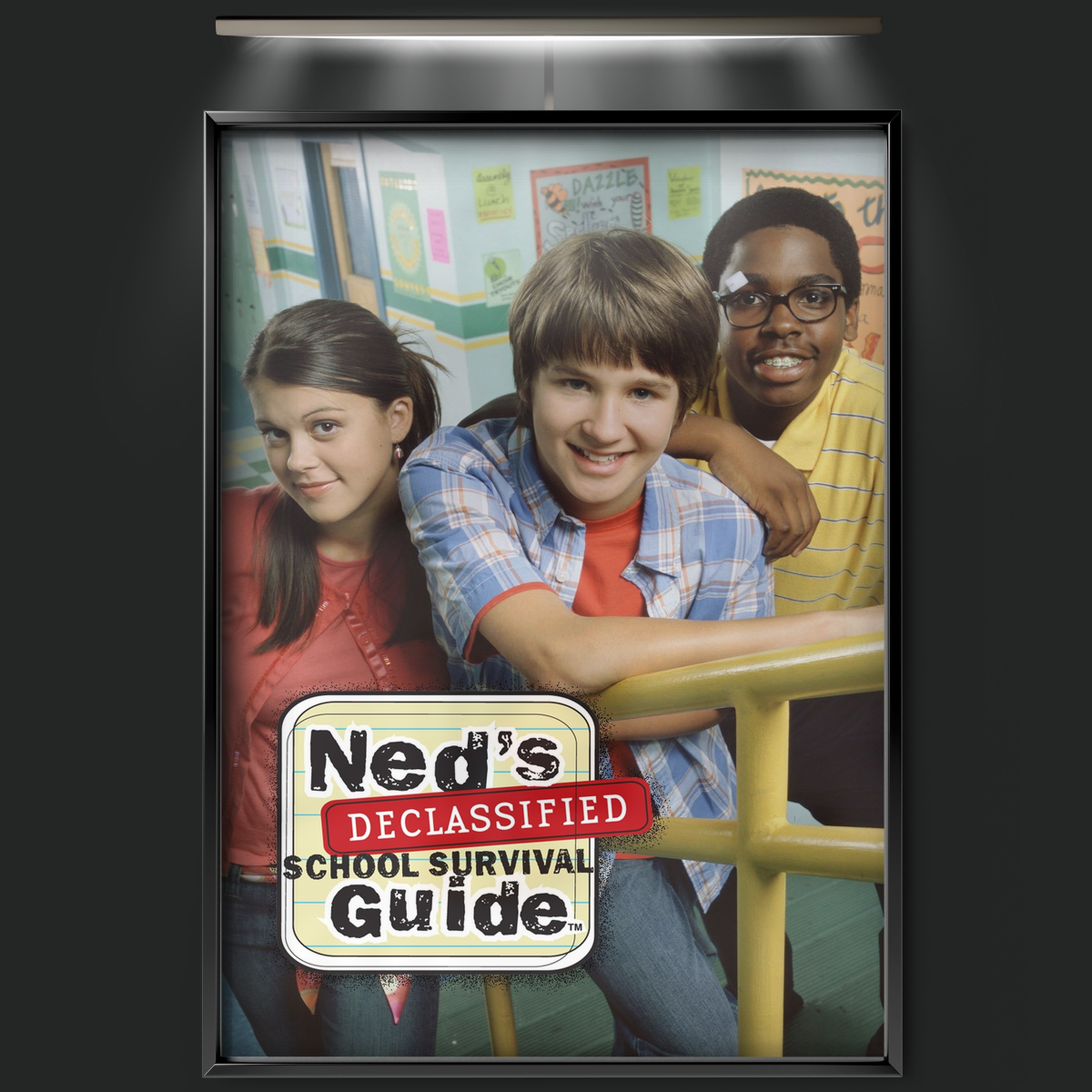 Ned's Declassified School Survival Guide (2004)
