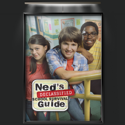 Ned's Declassified School Survival Guide (2004)