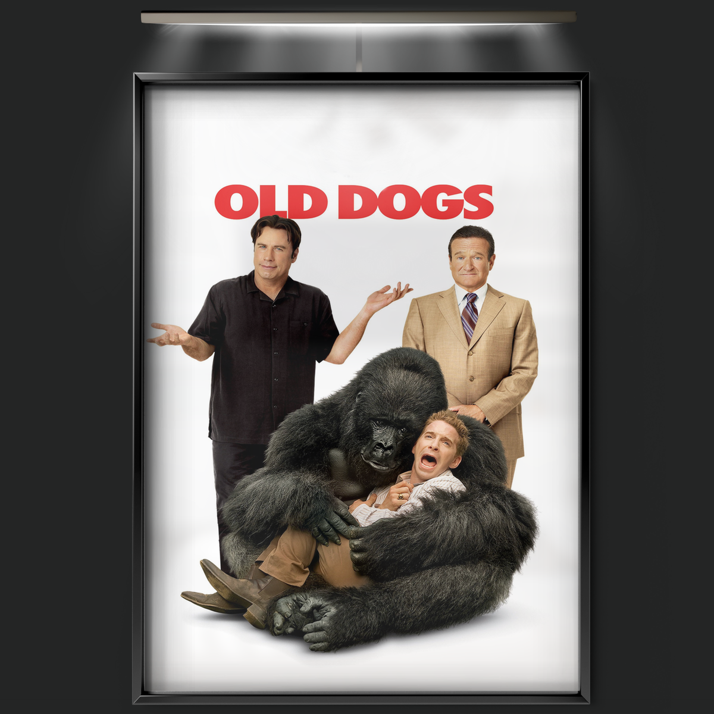 Old Dogs (2009)