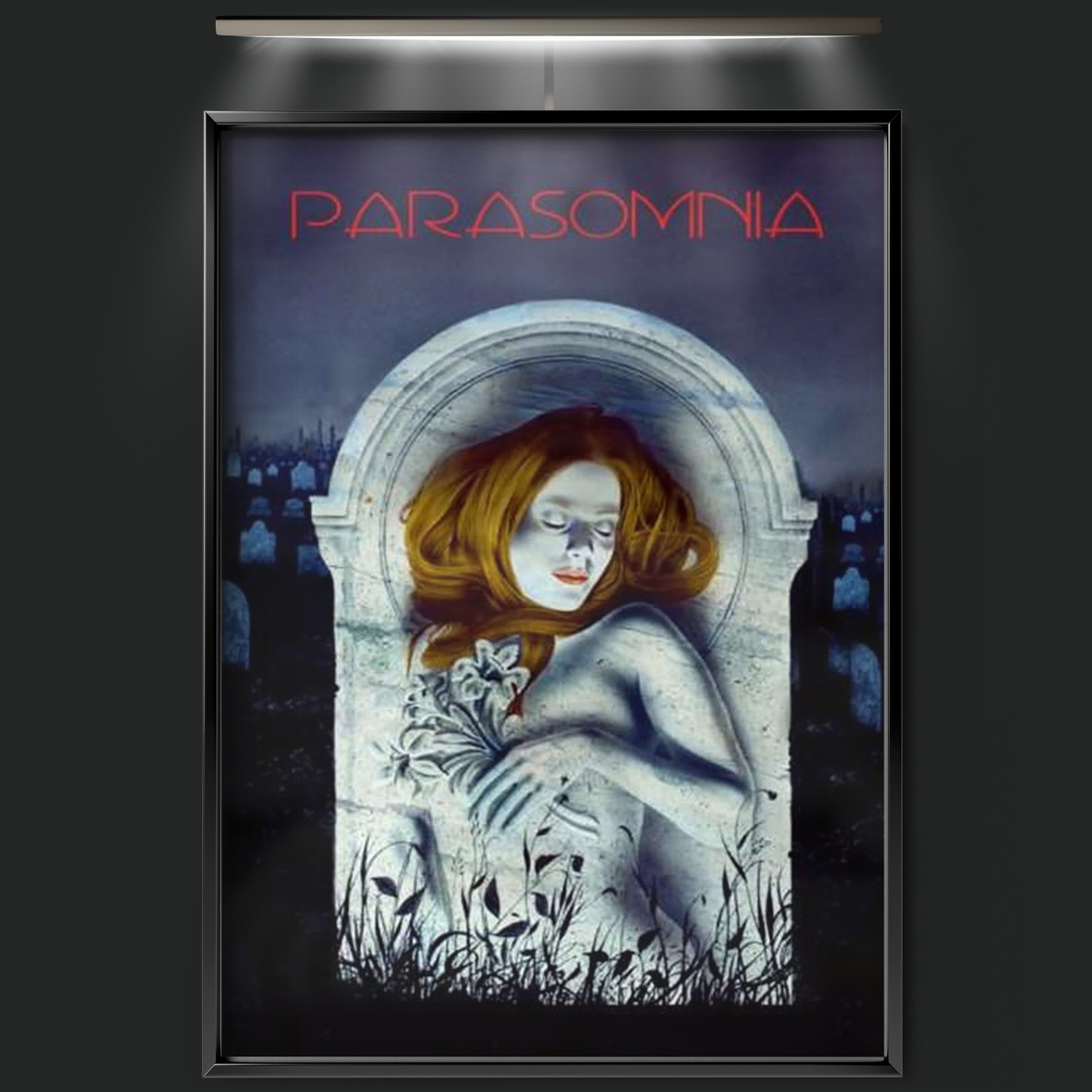 Parasomnia (2008)