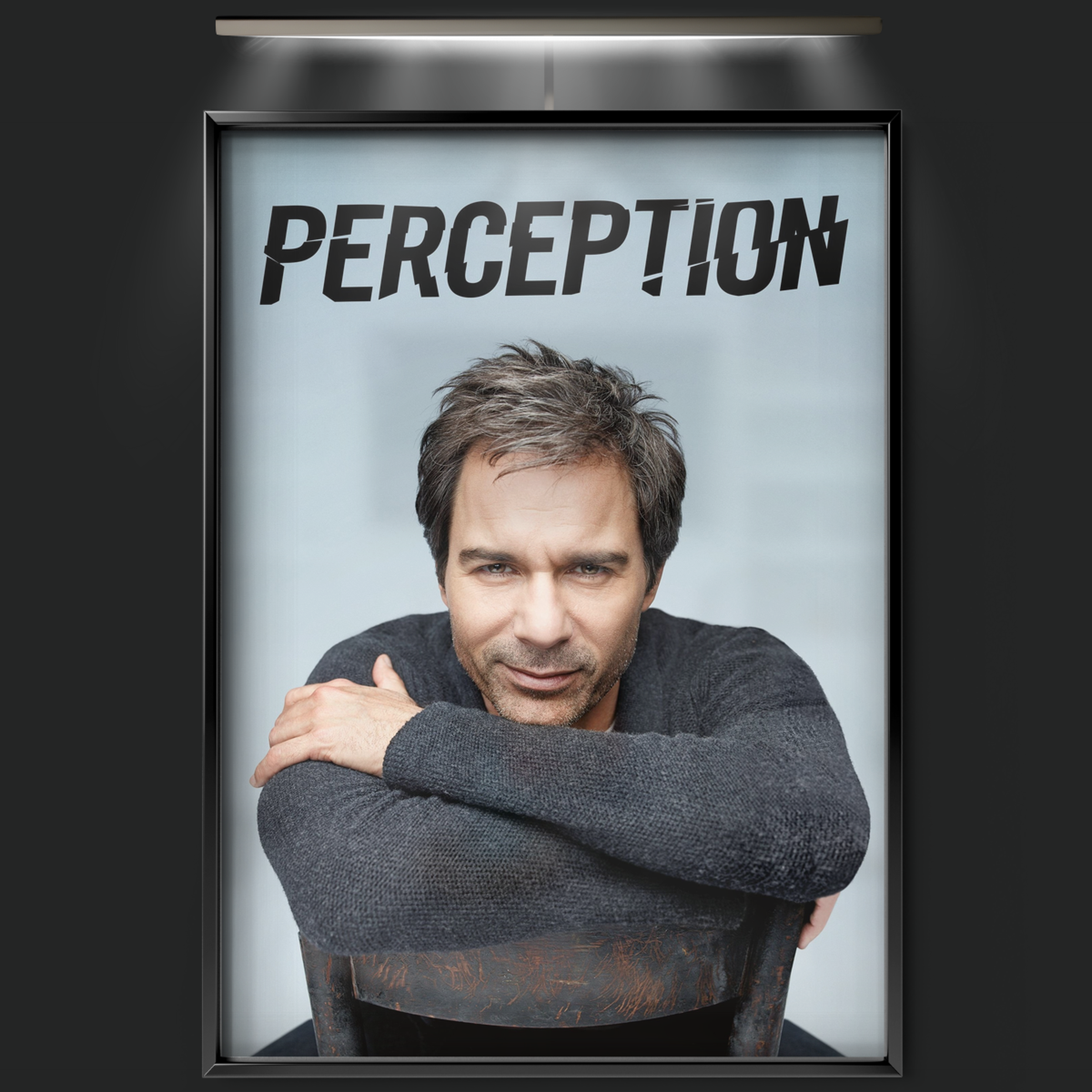 Perception (2012)
