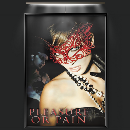 Pleasure Or Pain (2013)