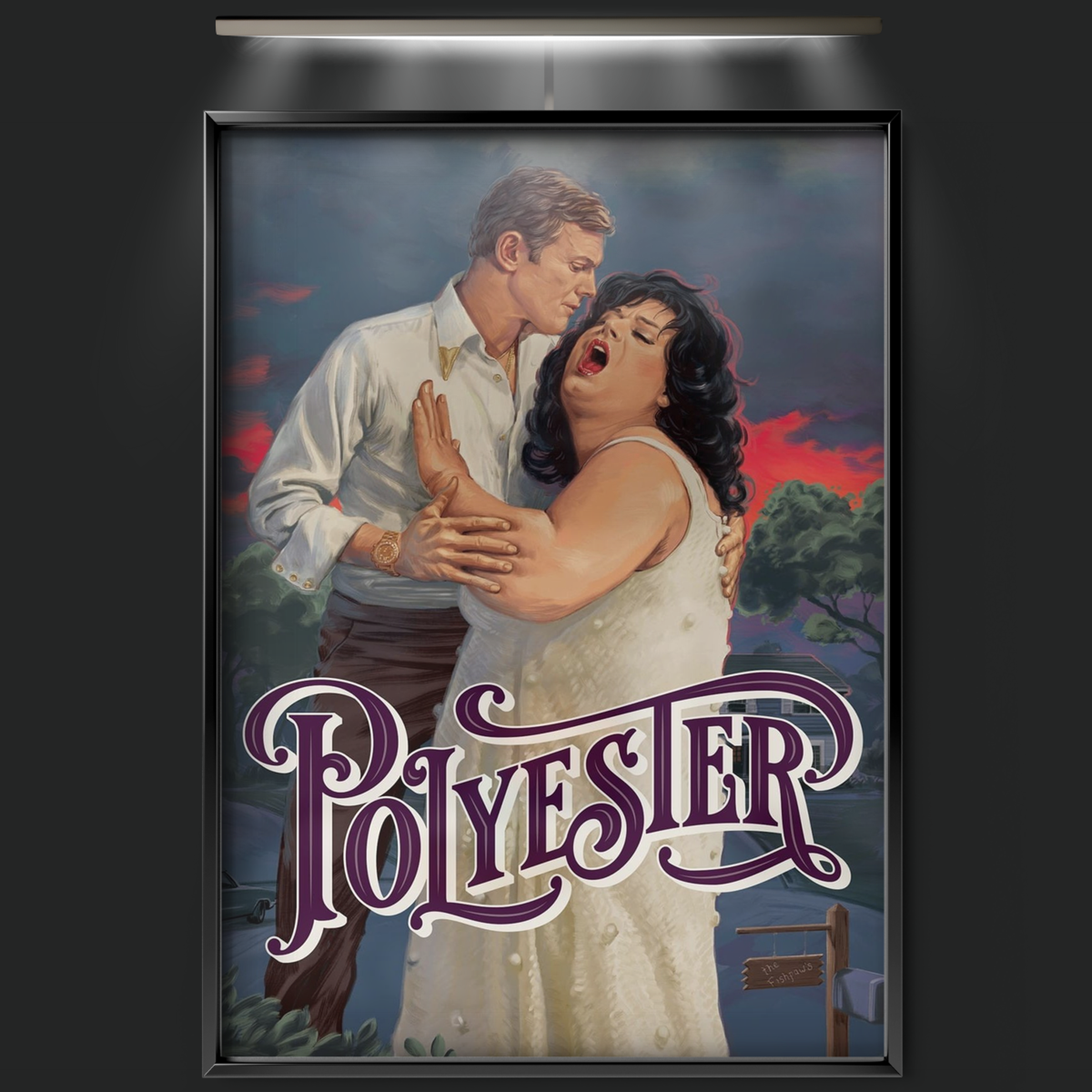 Polyester (1981)