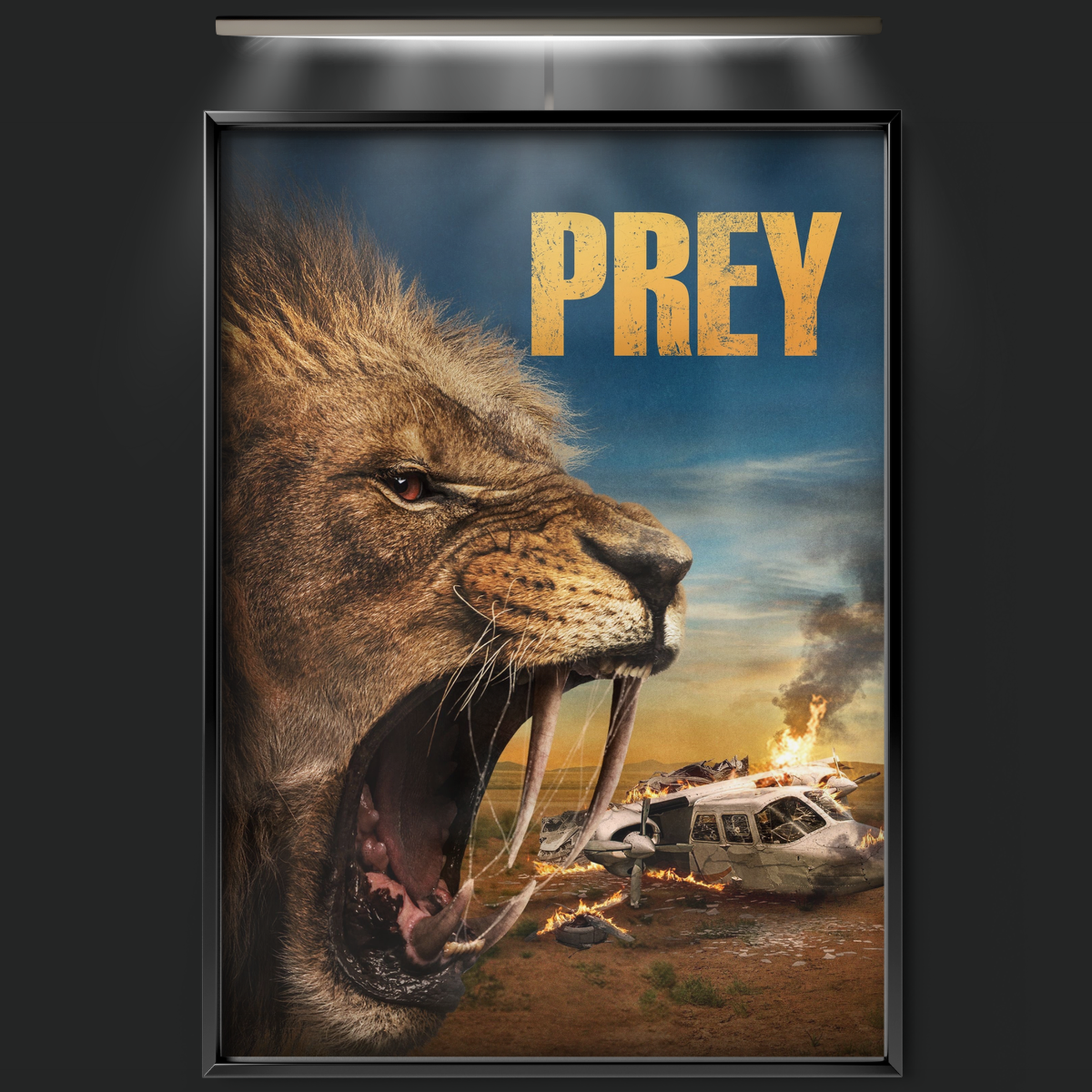 Prey (2024)