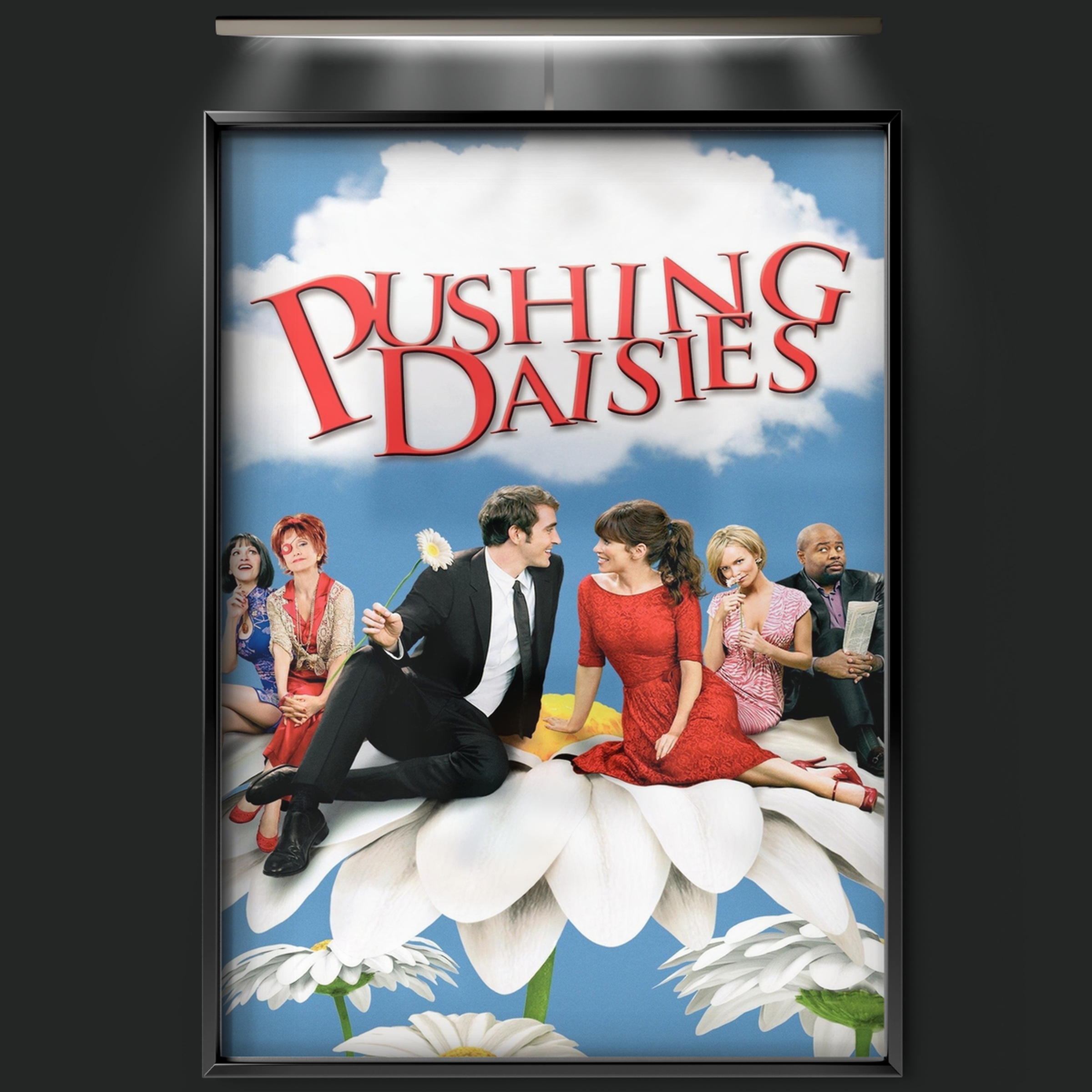 Pushing Daisies (2007)