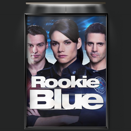 Rookie Blue (2010)