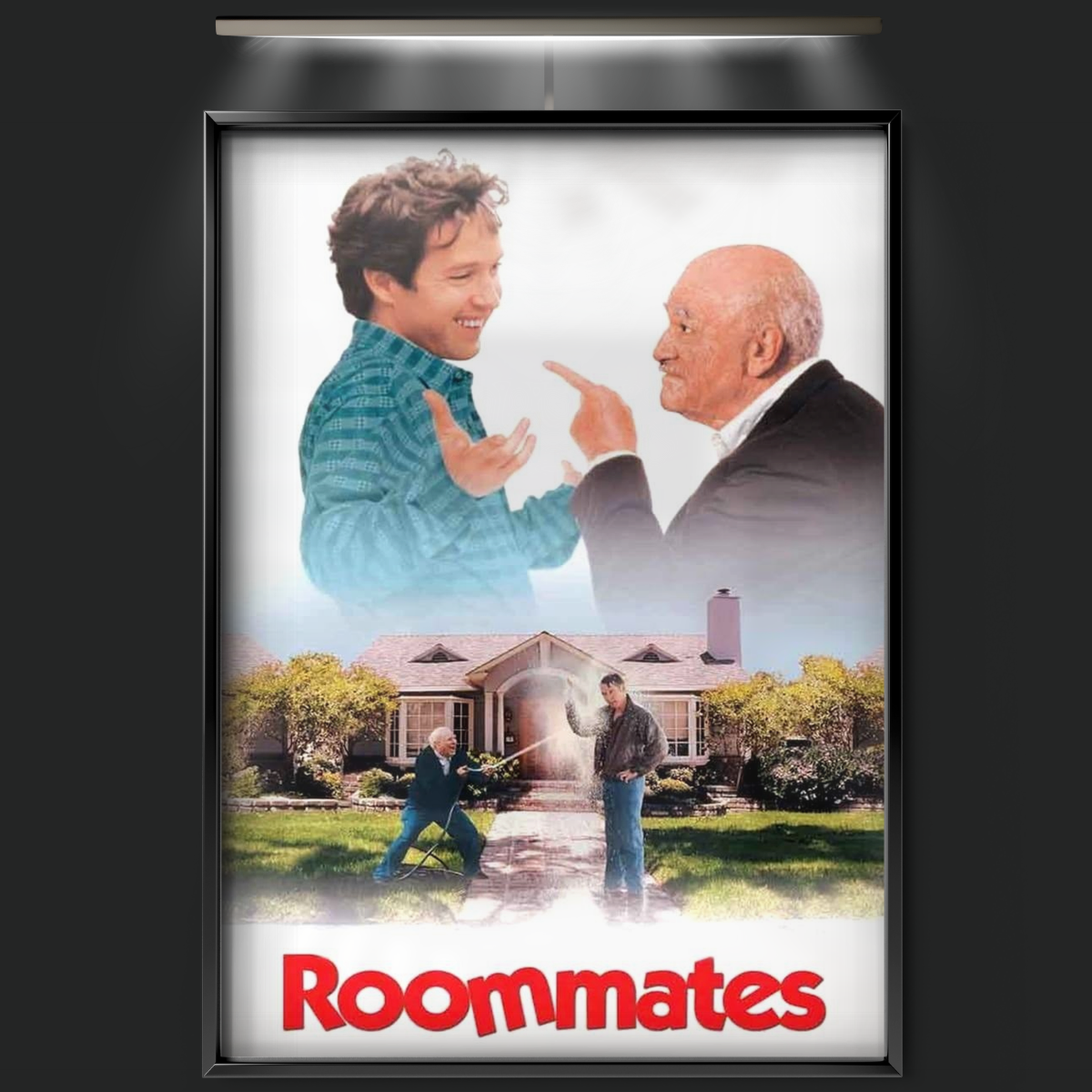 Roommates (1995)