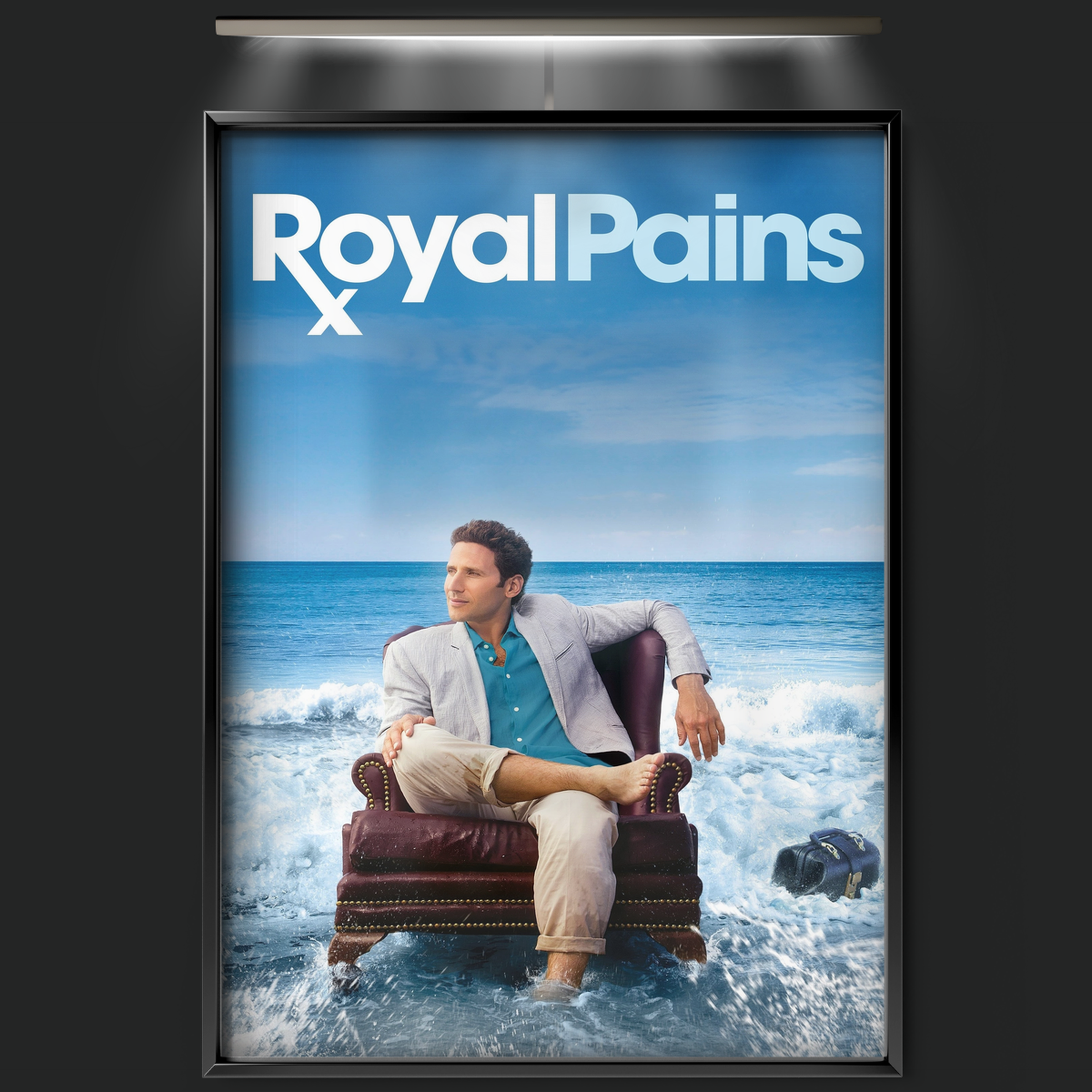 Royal Pains (2009)