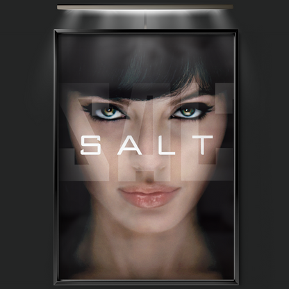 Salt (2010)