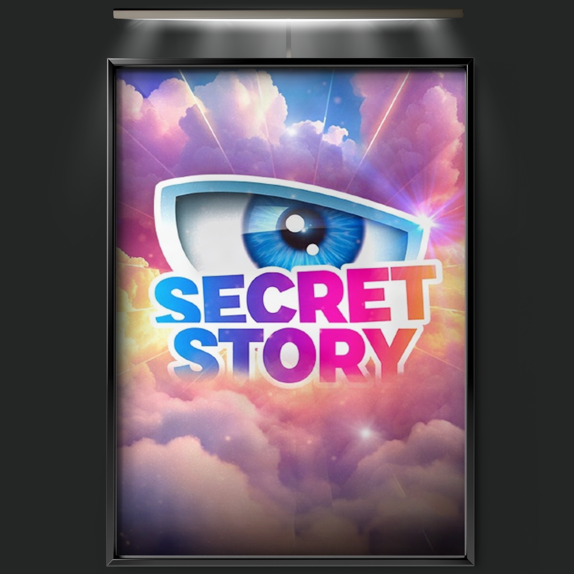 Secret Story (2007)