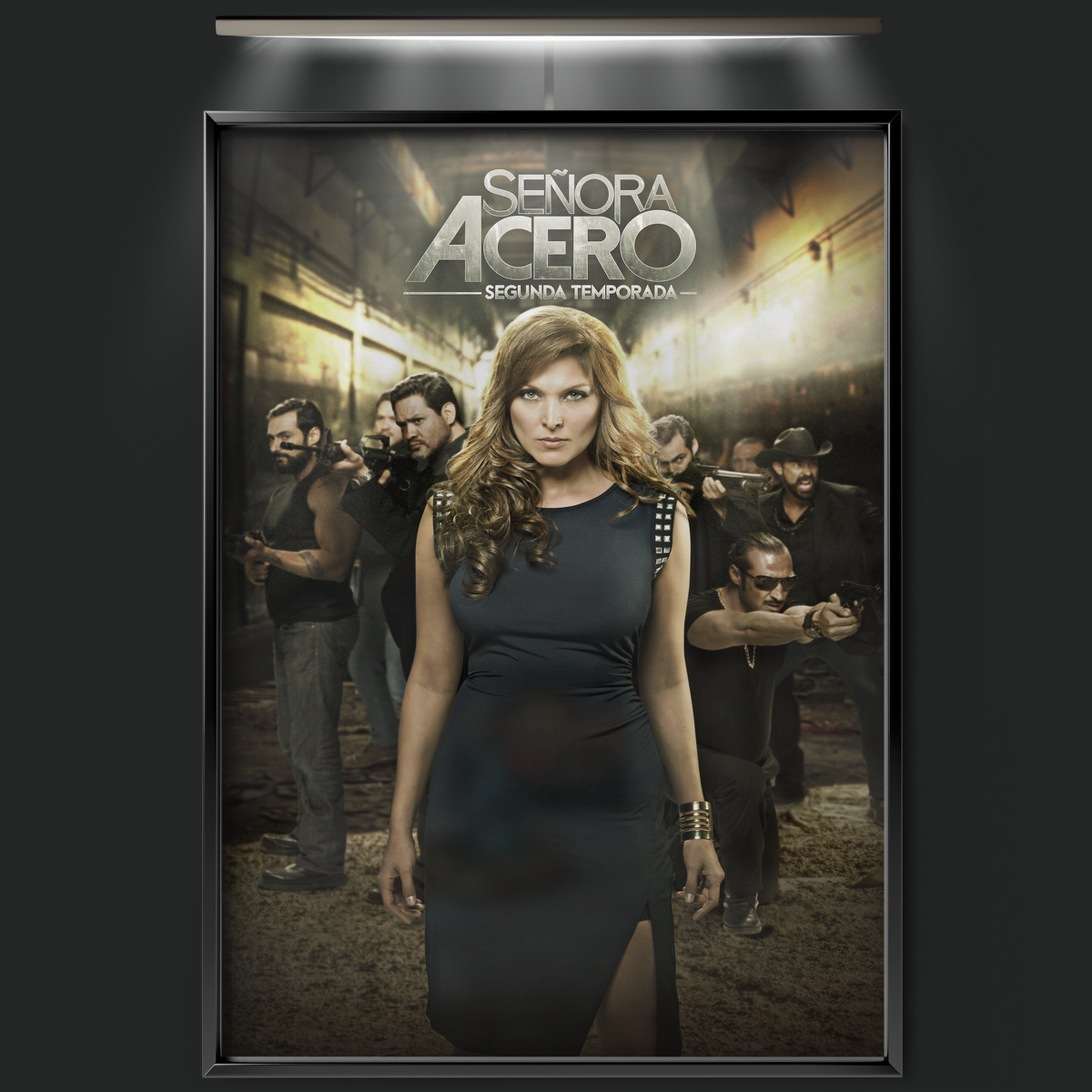Senora Acero (2014)