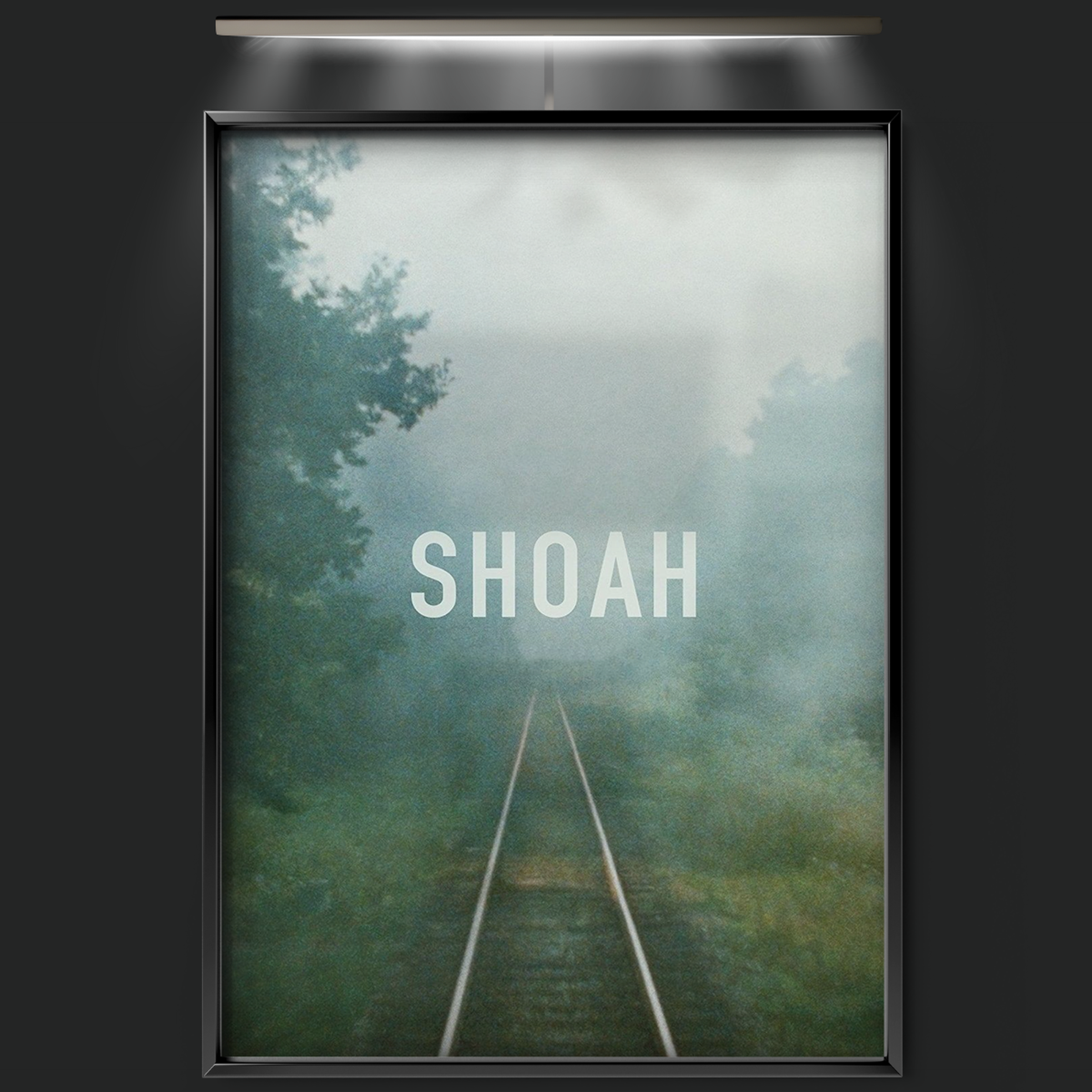 Shoah (1985)