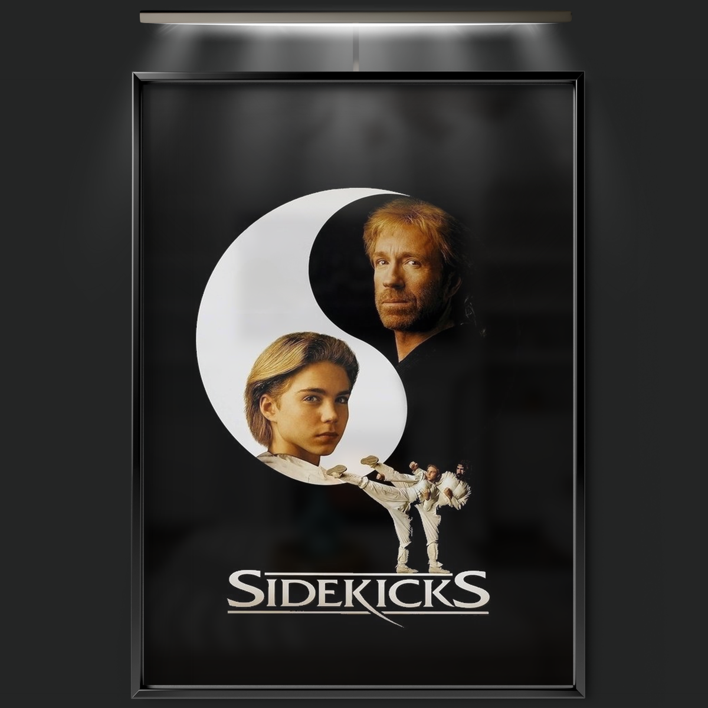 Sidekicks (1992)