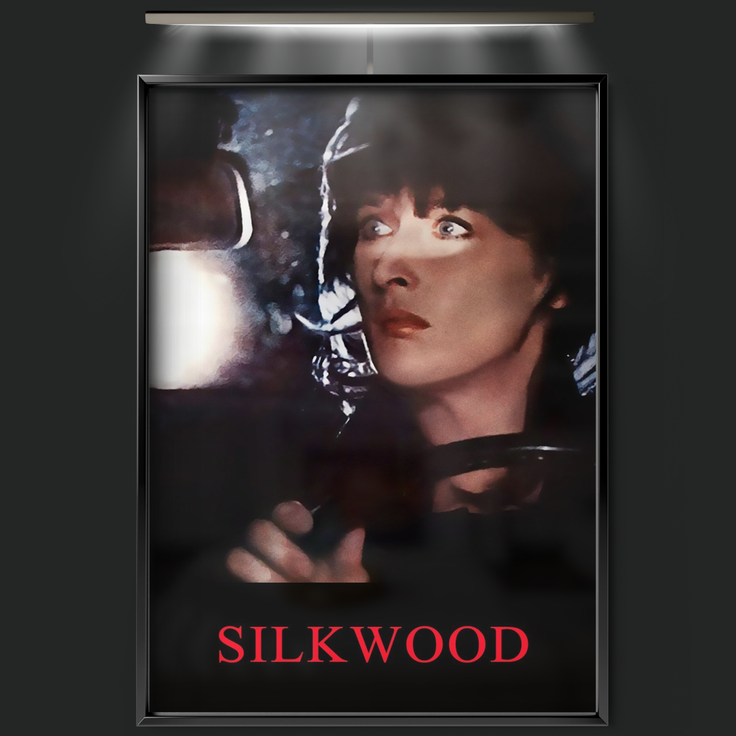 Silkwood (1983)