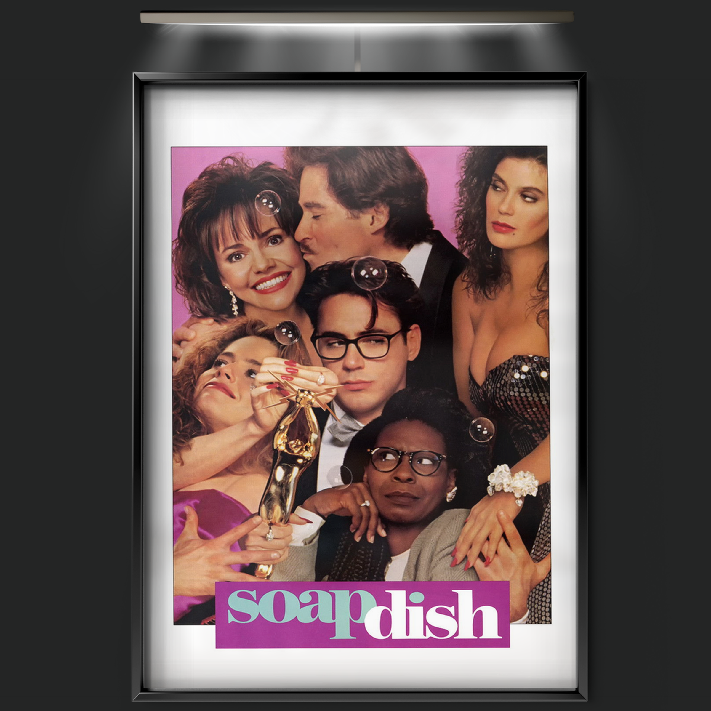 Soapdish (1991)