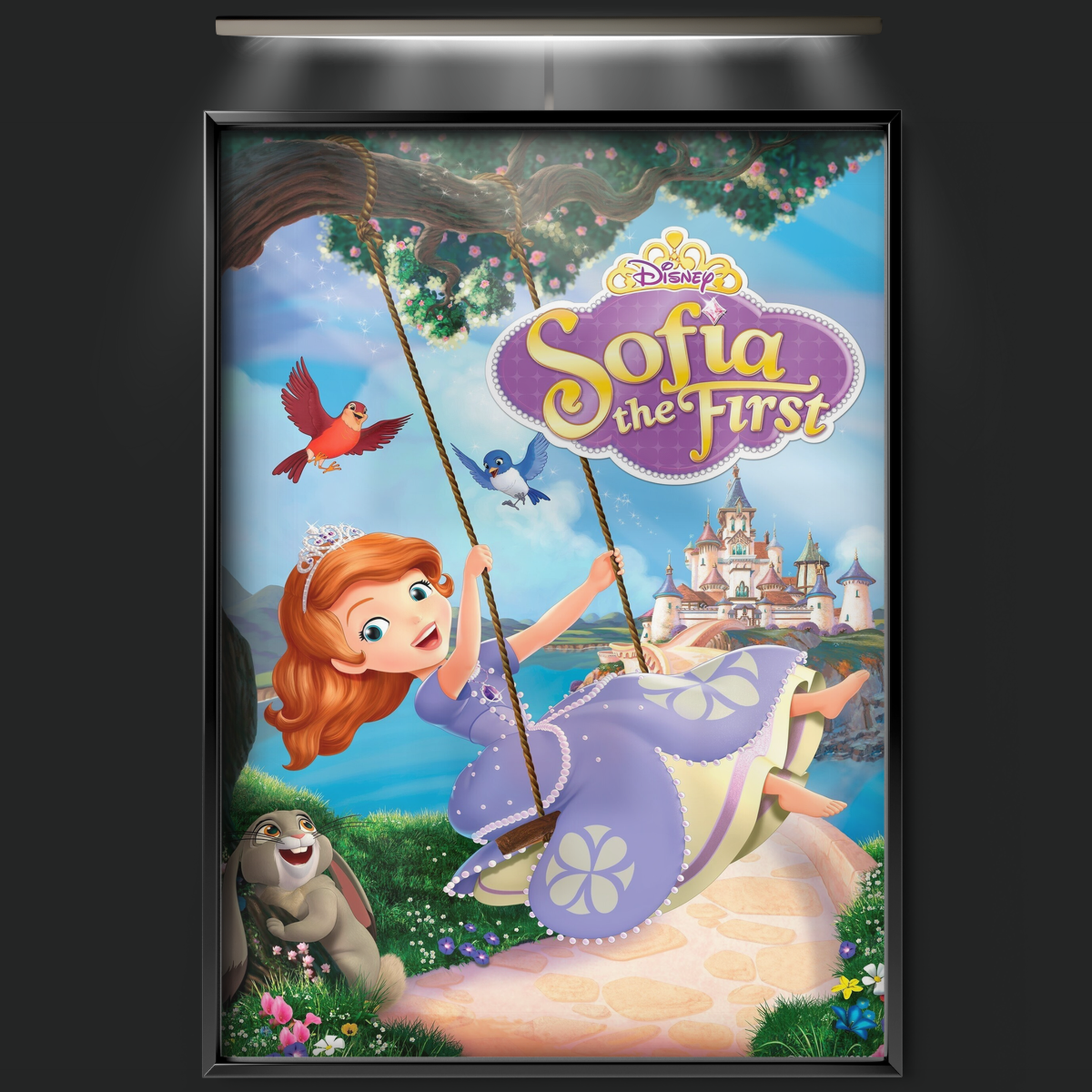 Sofia The First (2013)