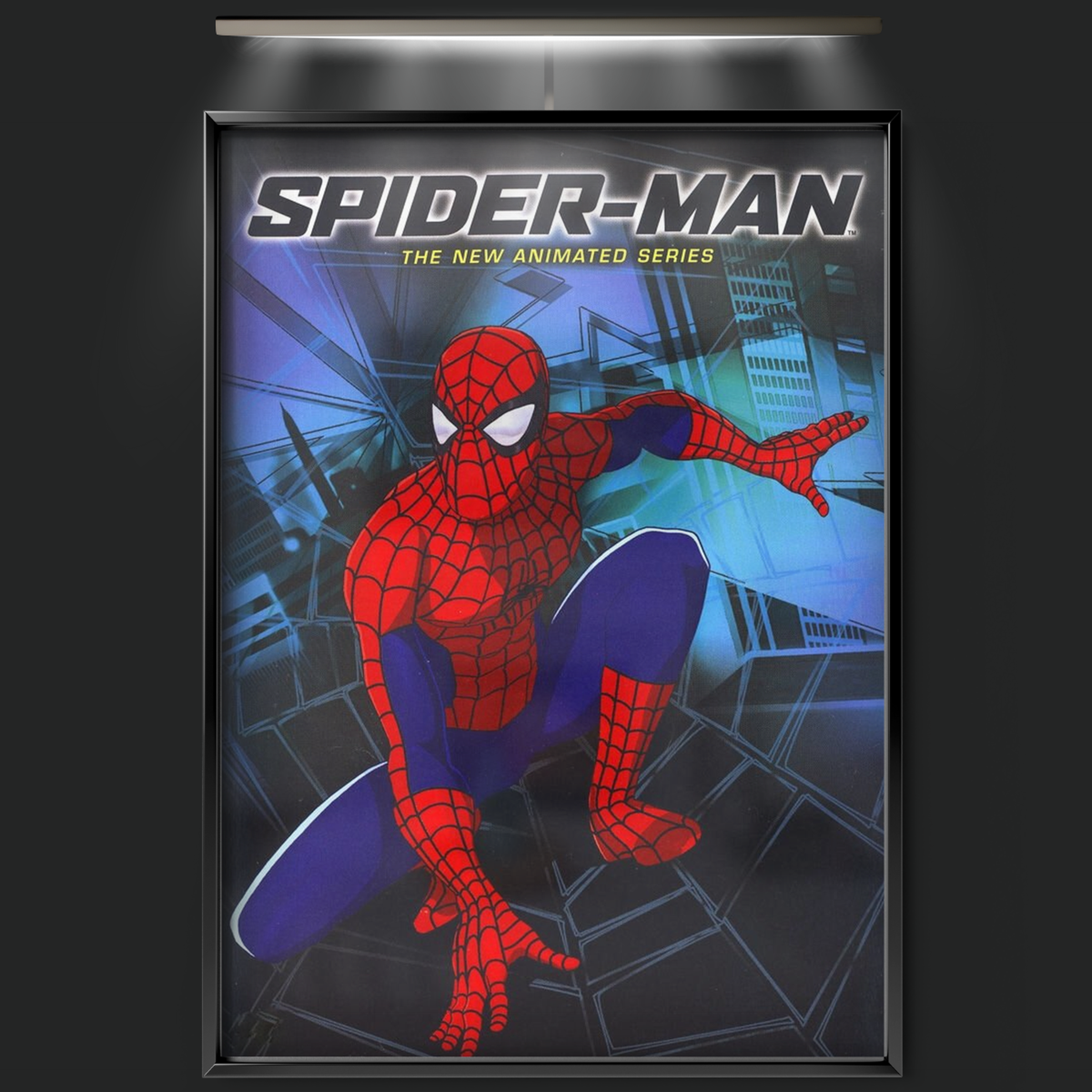Spider Man The New Animated Series (2003)