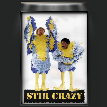 Stir Crazy (1980)
