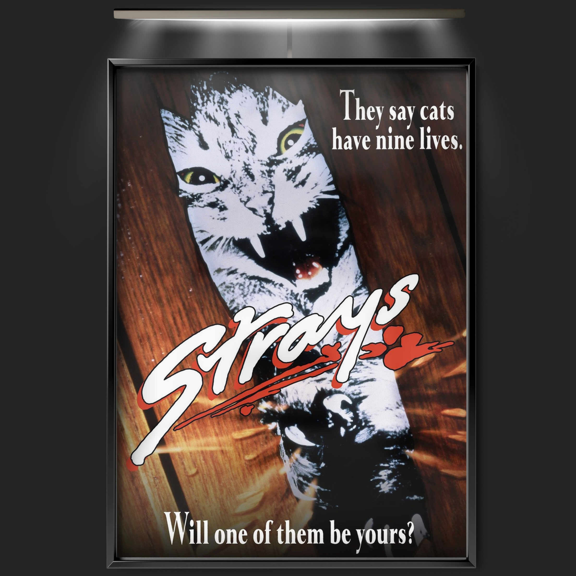 Strays (1991)