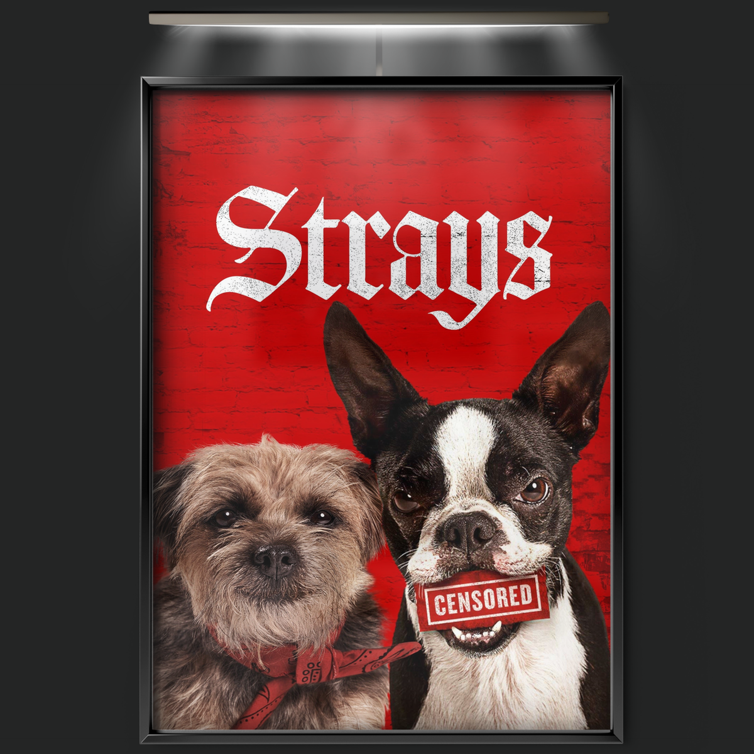 Strays (2023)