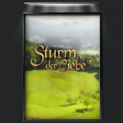 Sturm Der Liebe (2005)