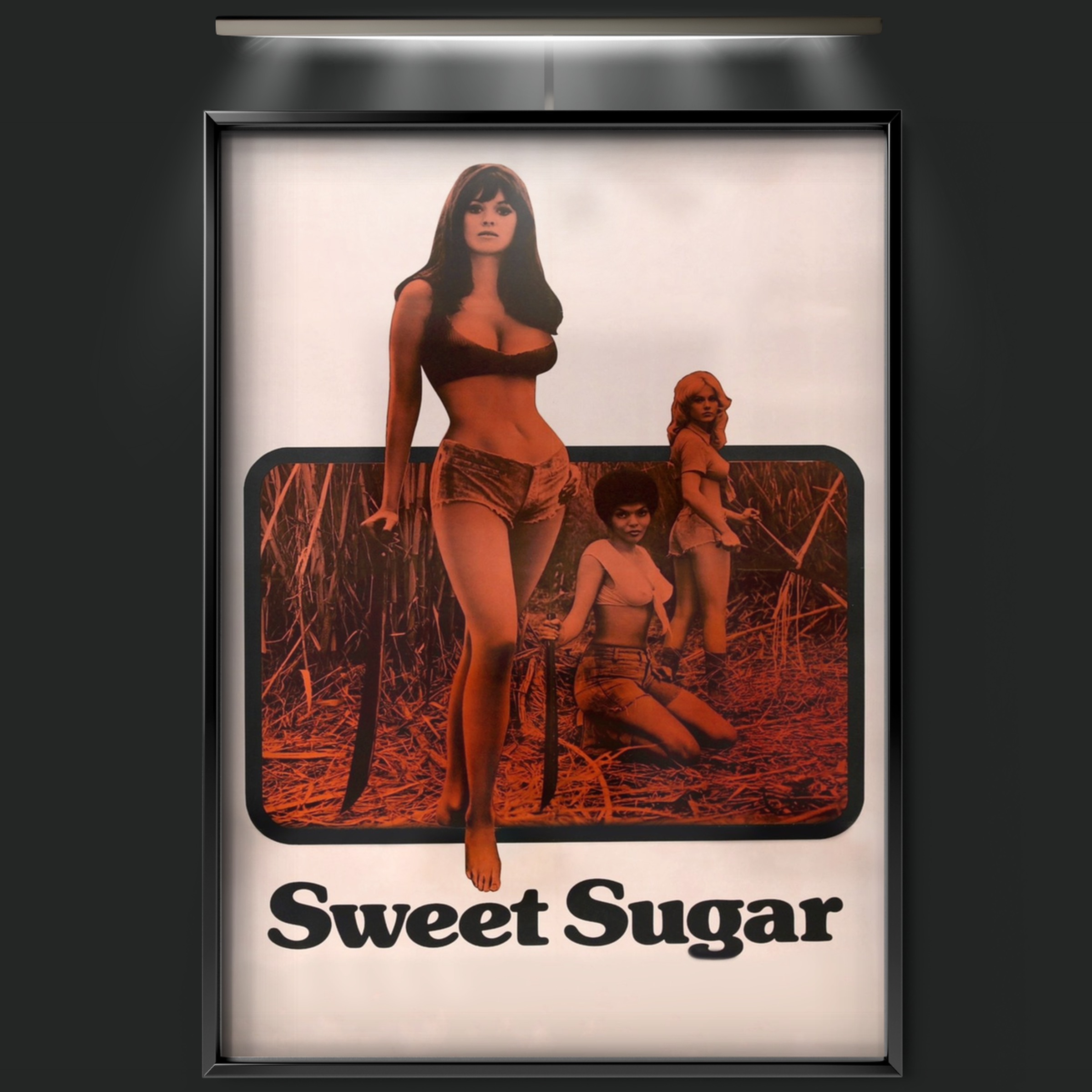Sweet Sugar (1972)