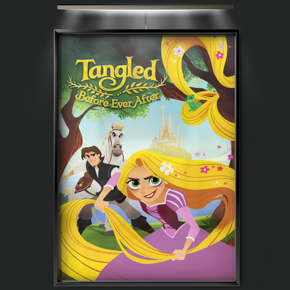 Tangled Before Ever After (2017)