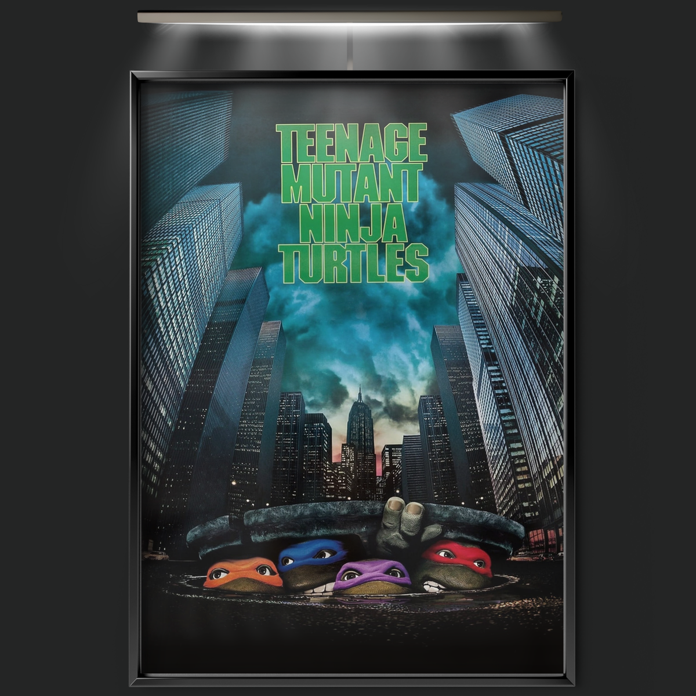 Teenage Mutant Ninja Turtles (1990)