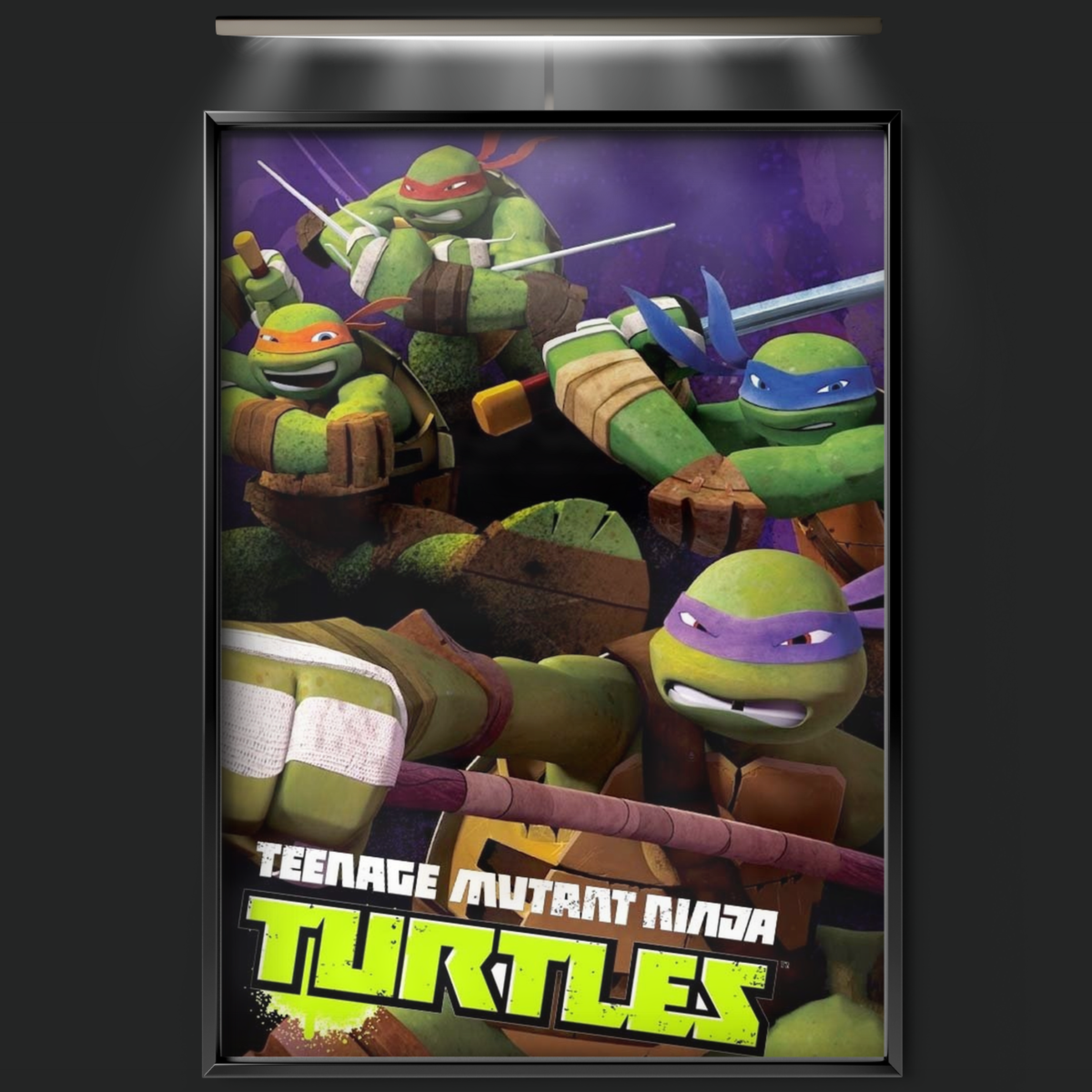 Teenage Mutant Ninja Turtles (2012)
