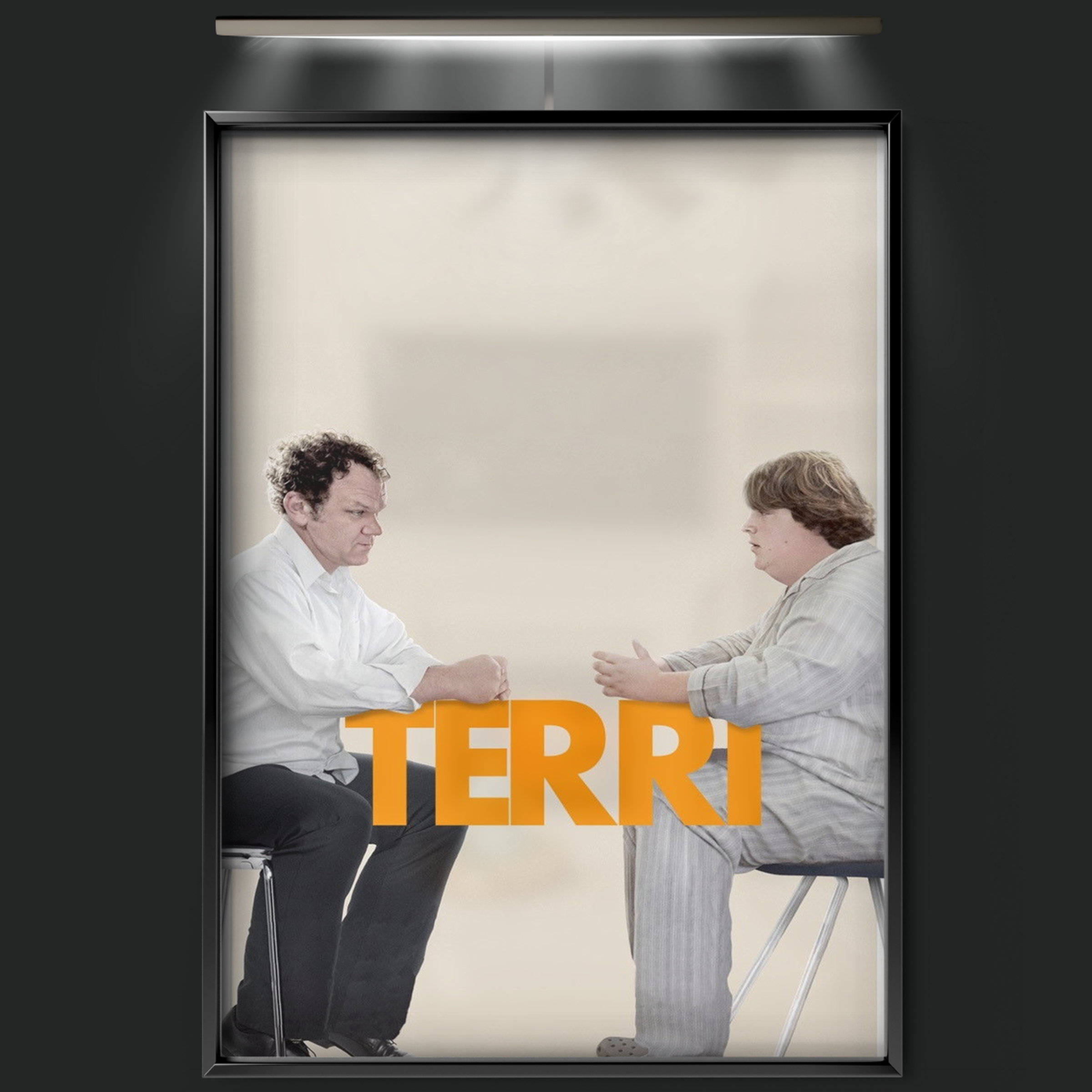 Terri (2011)