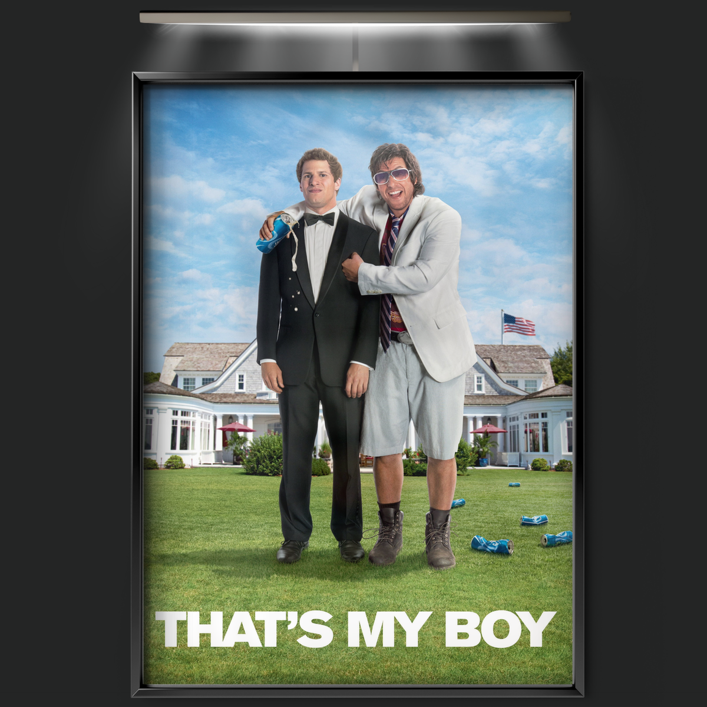 That's My Boy (2012)