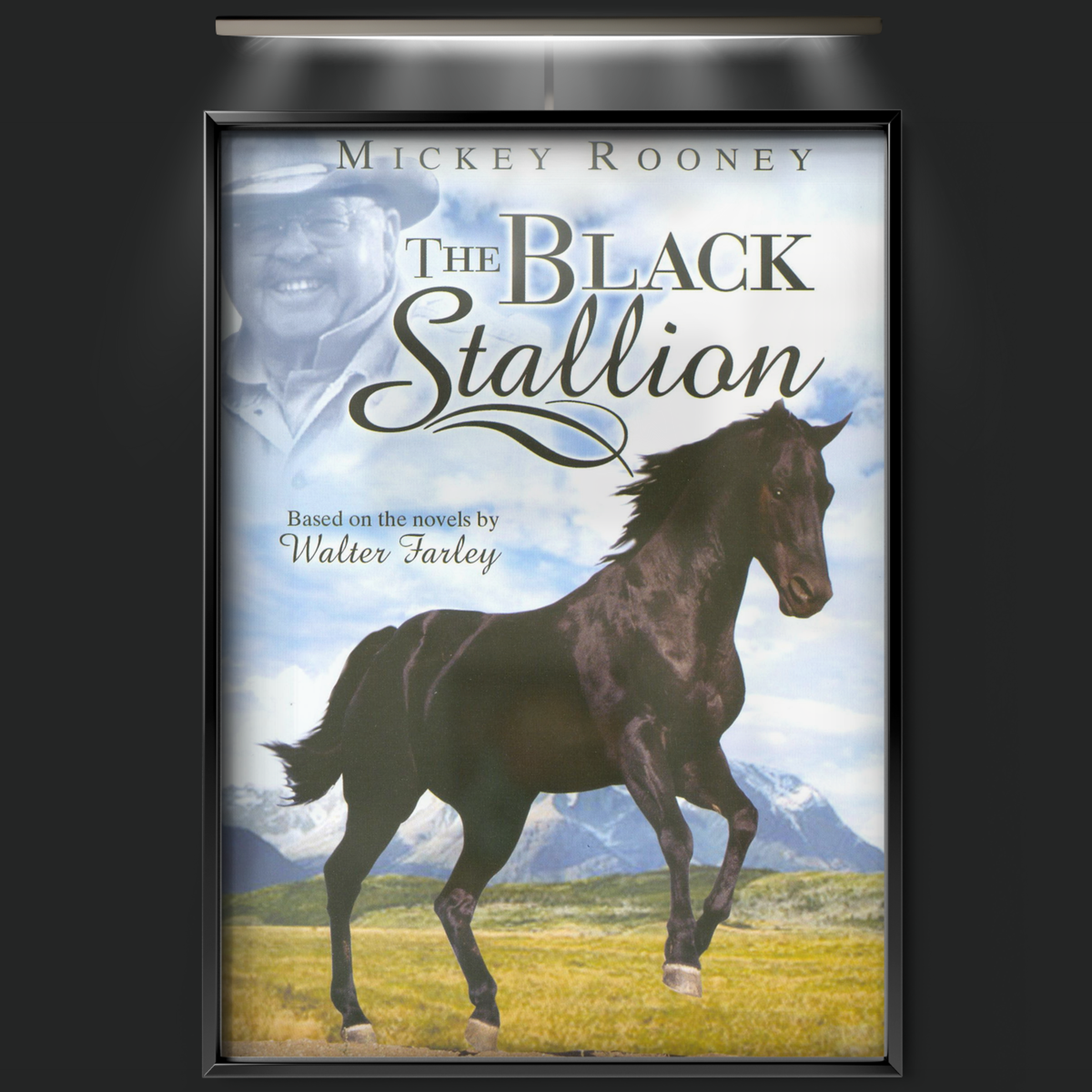 The Adventures Of The Black Stallion (1992)