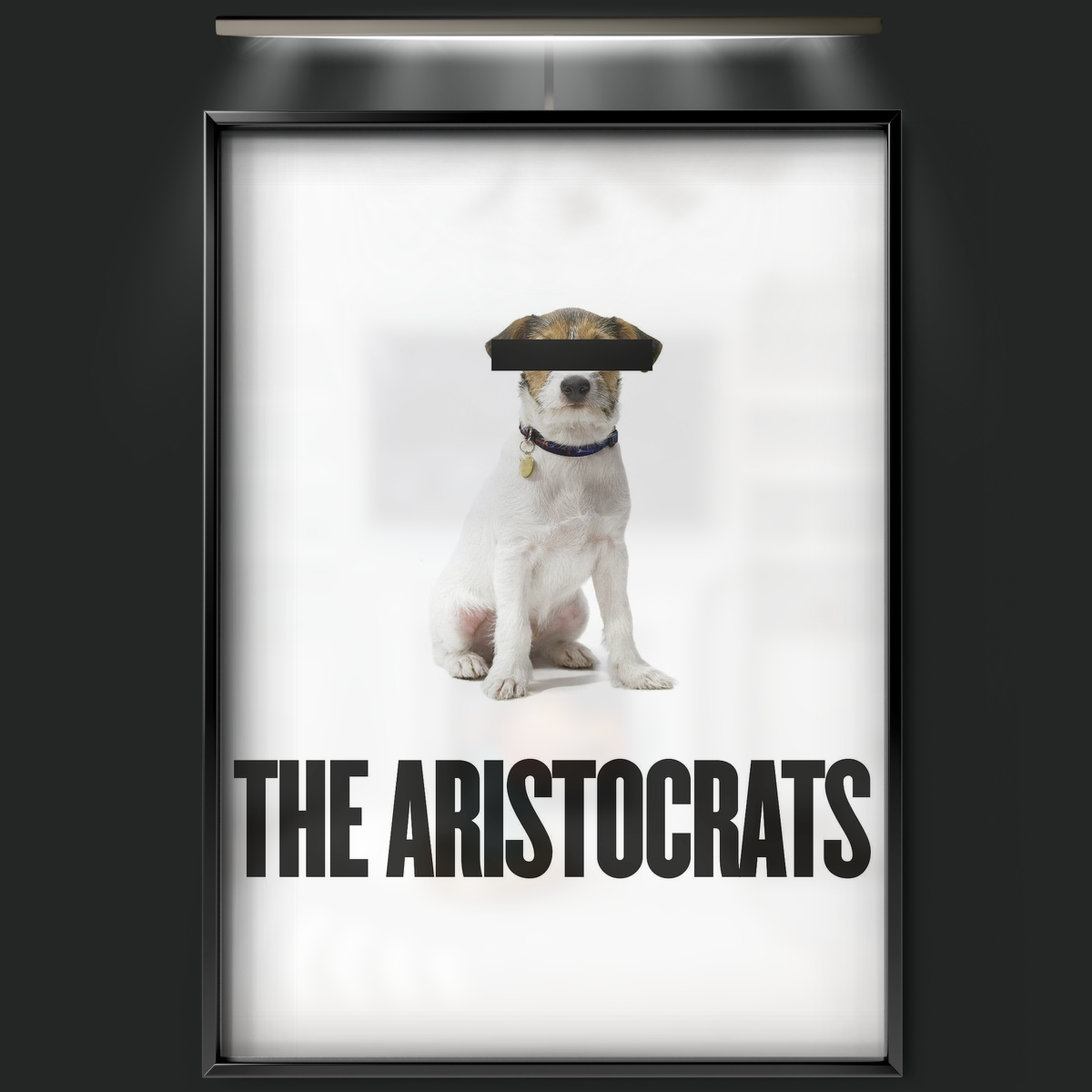 The Aristocrats (2005)