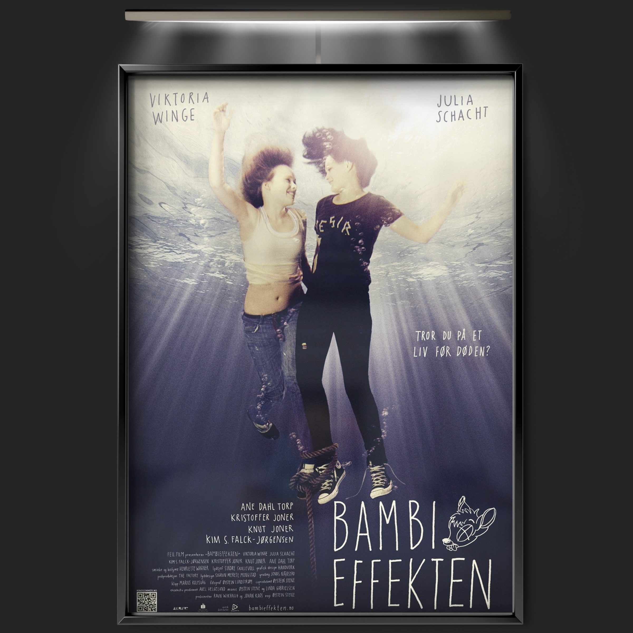 The Bambi Effect (2011)