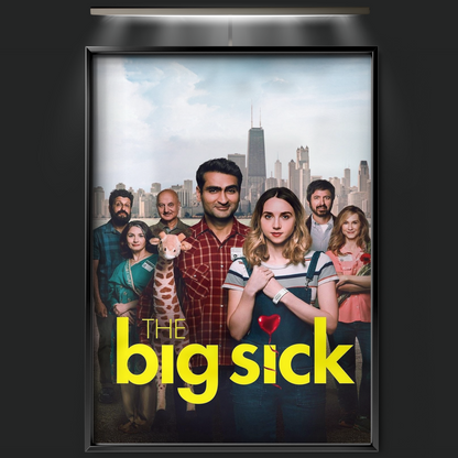 The Big Sick (2017)