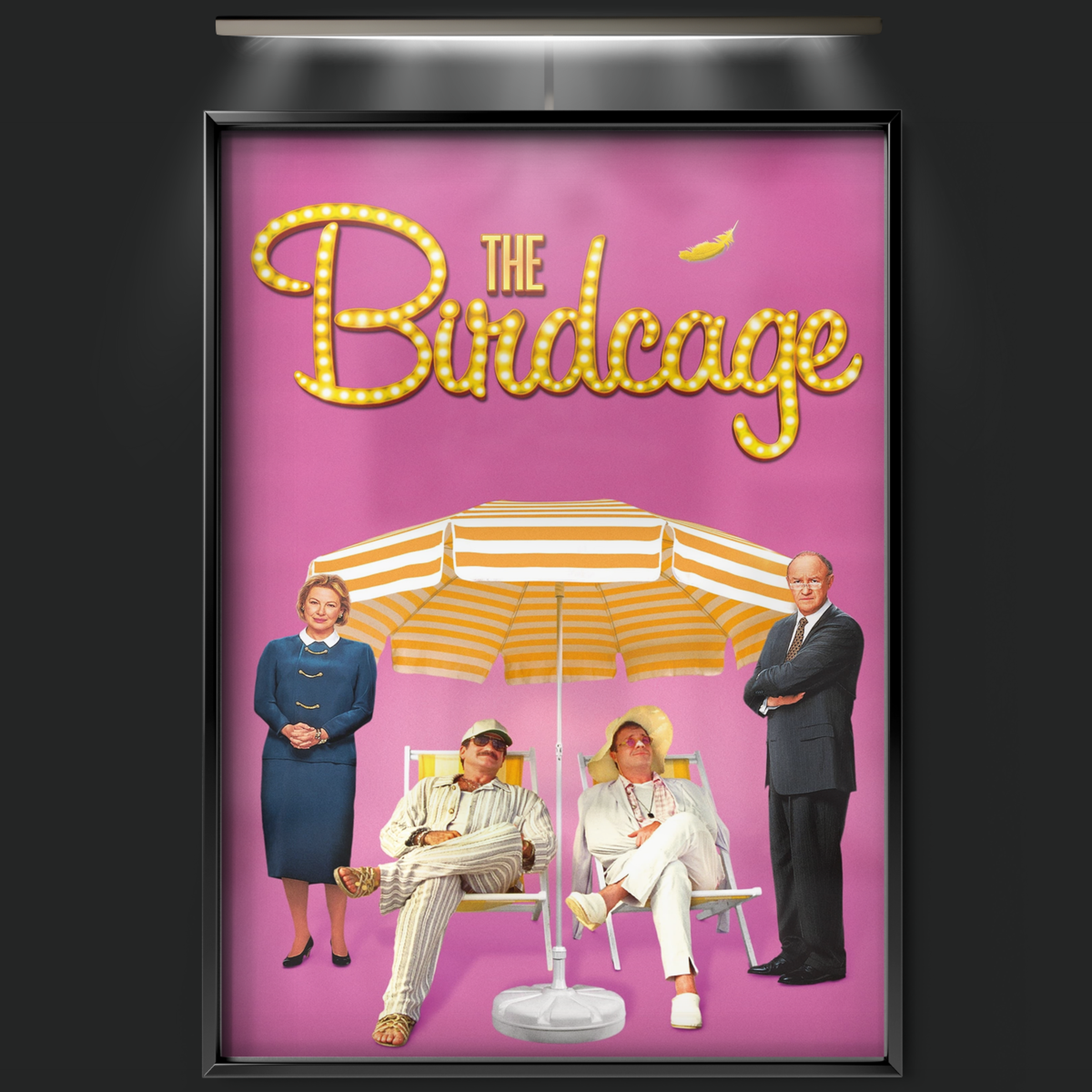 The Birdcage (1996)
