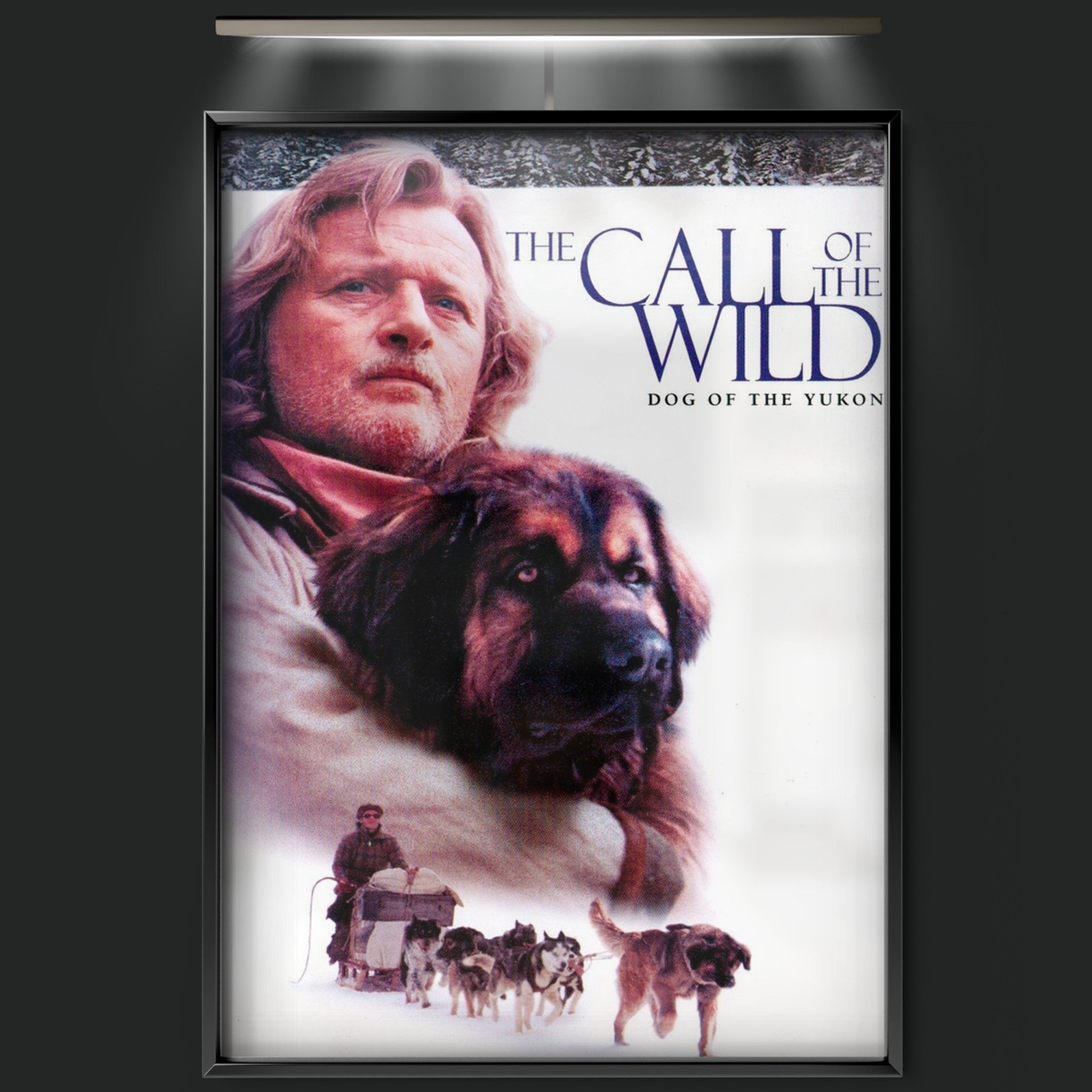 The Call Of The Wild Dog Of The Yukon (1997)