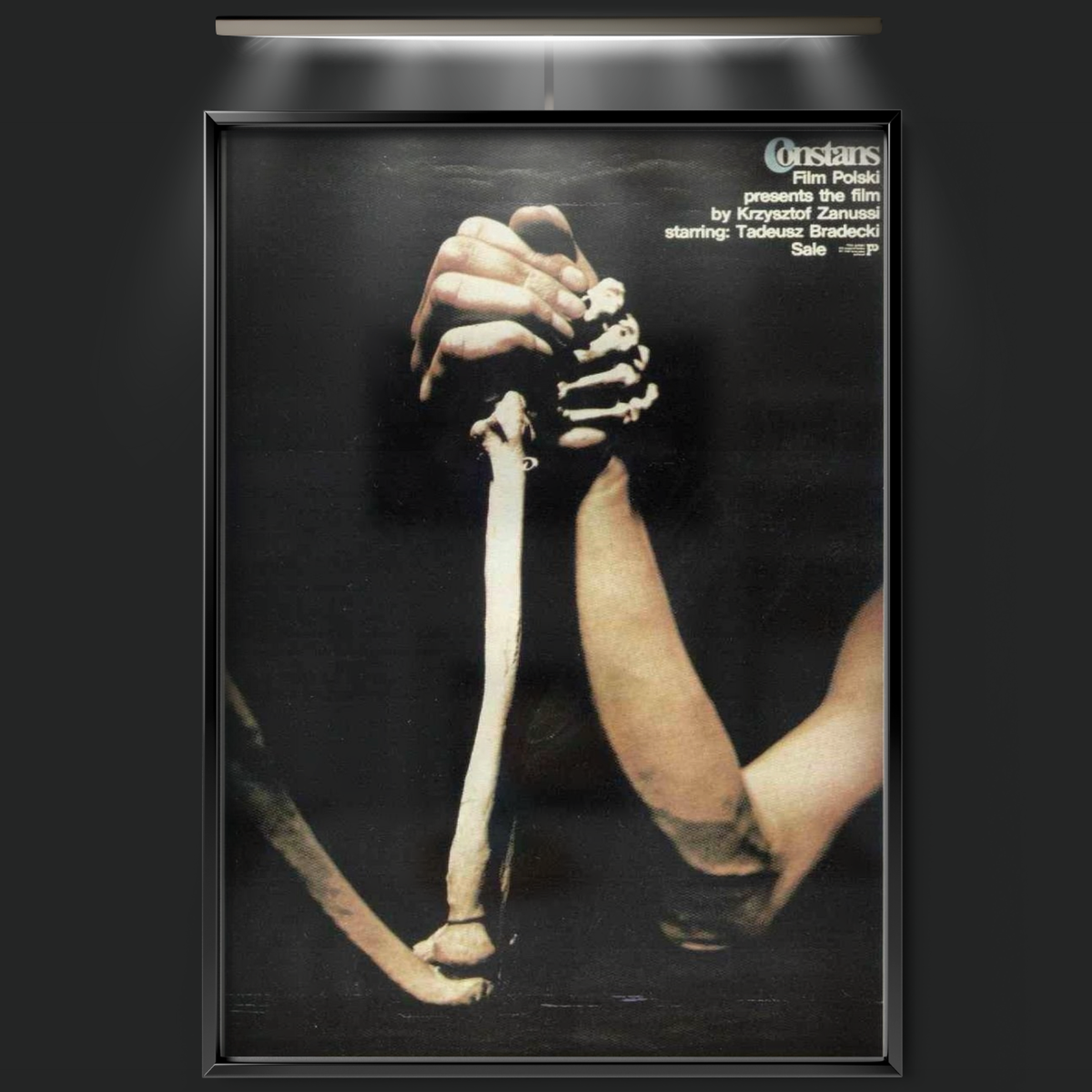 The Constant Factor (1980)