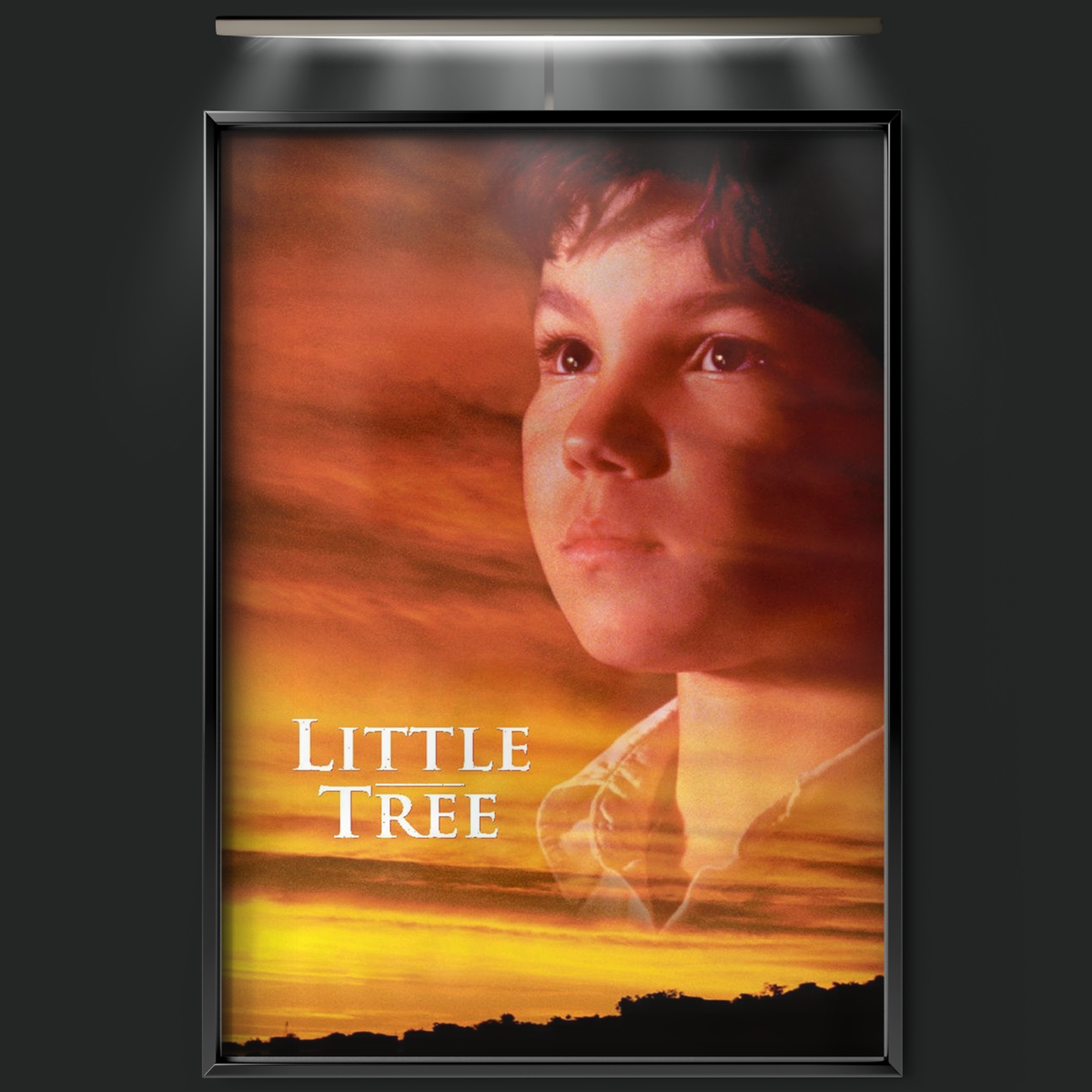 The Education Of Little Tree (1997)