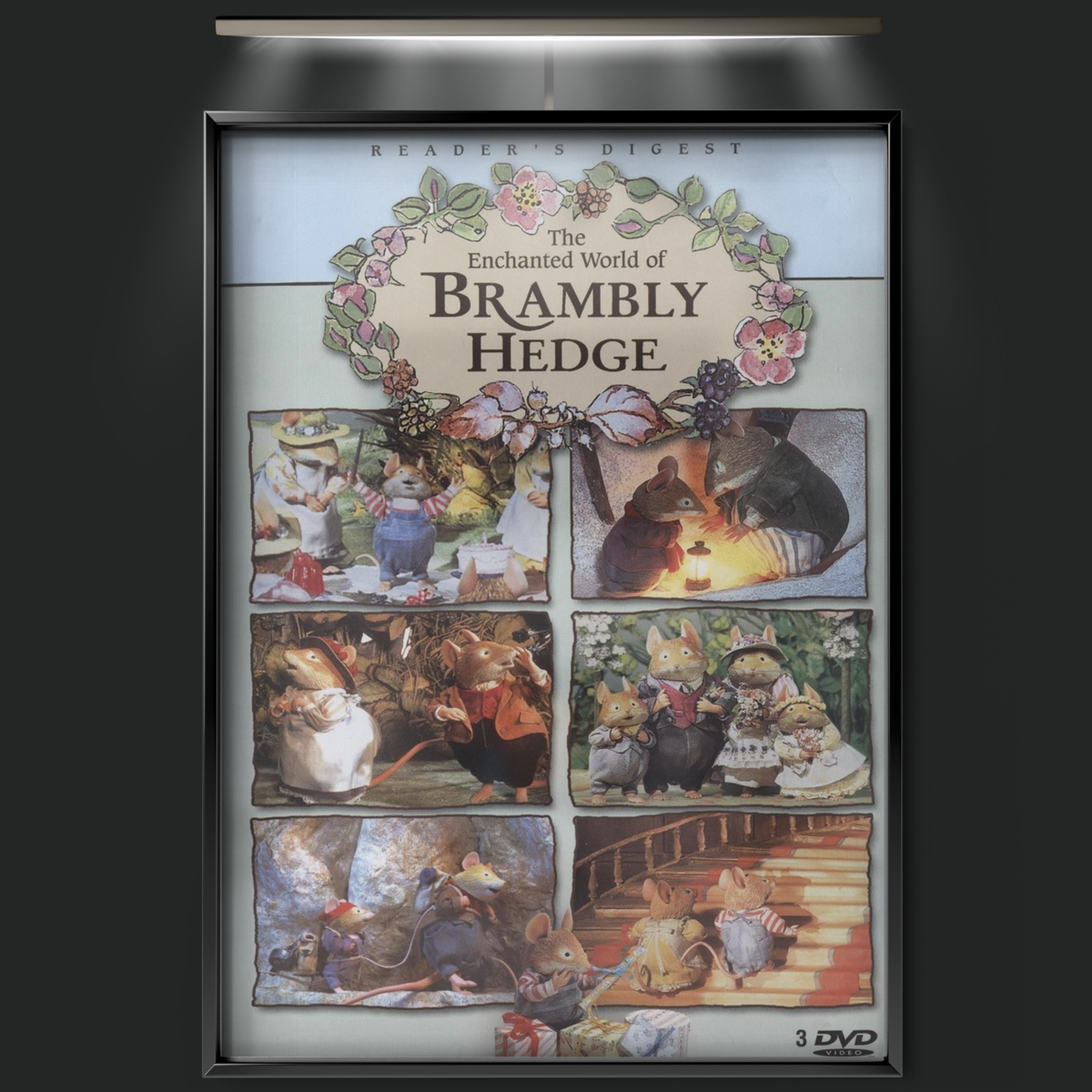 The Enchanted World Of Brambly Hedge (1996)