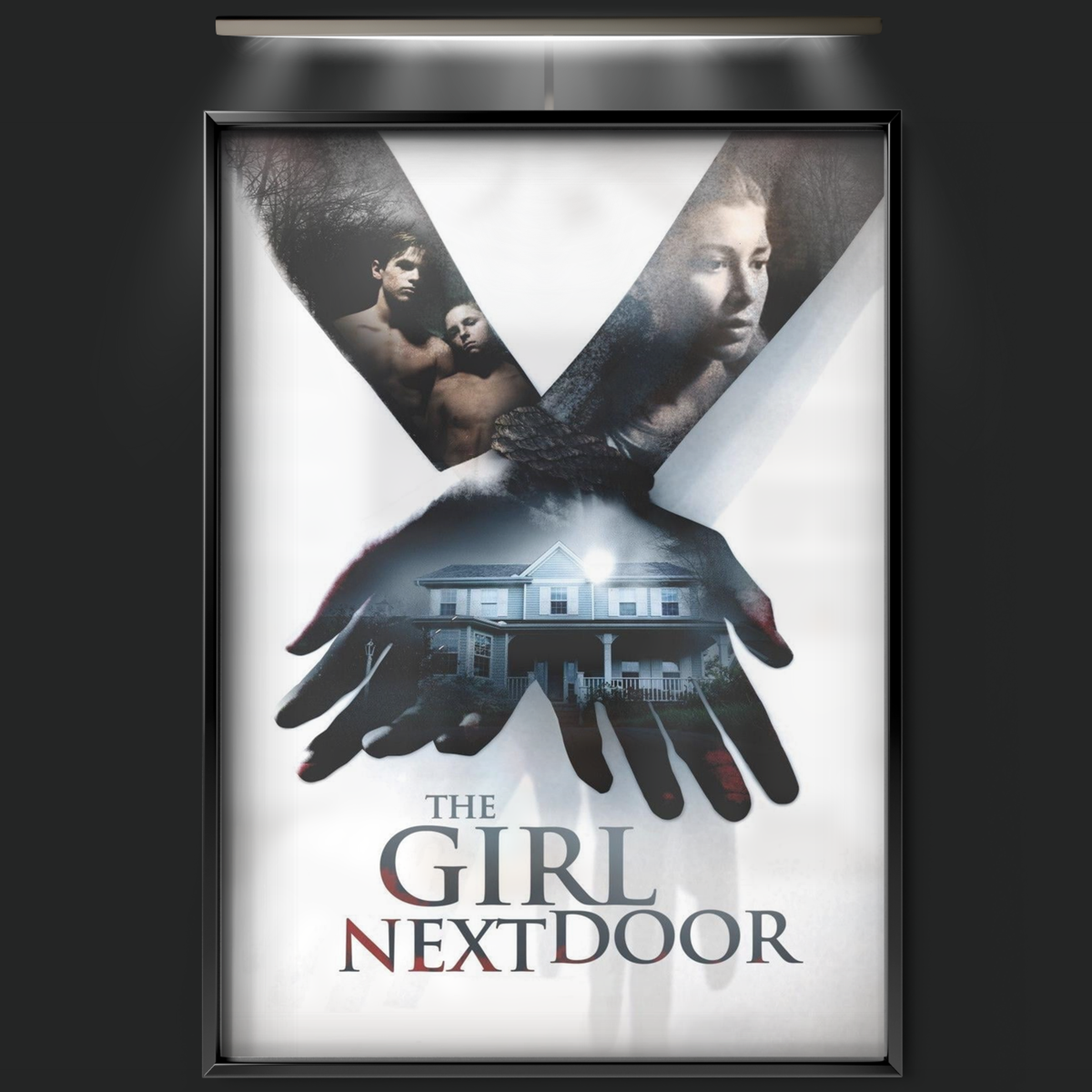 The Girl Next Door (2007)