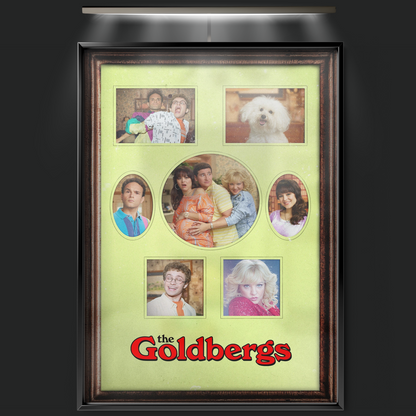 The Goldbergs (2013)