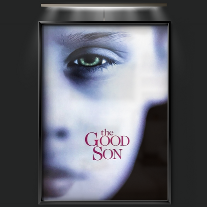 The Good Son (1993)