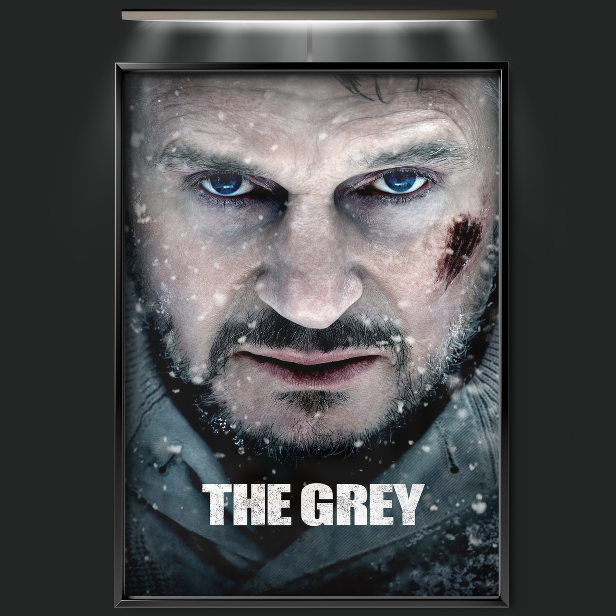 The Grey (2012)