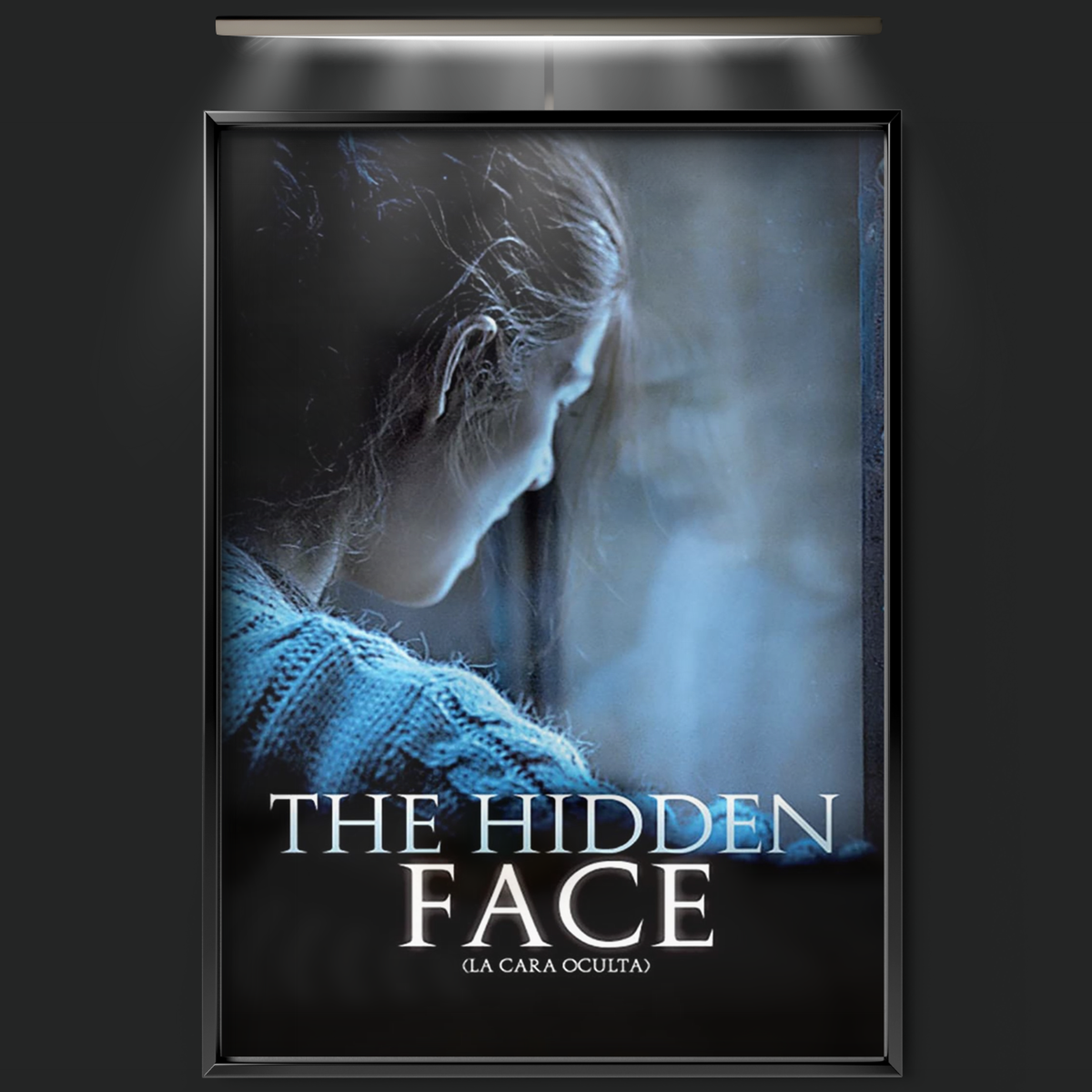 The Hidden Face (2011)