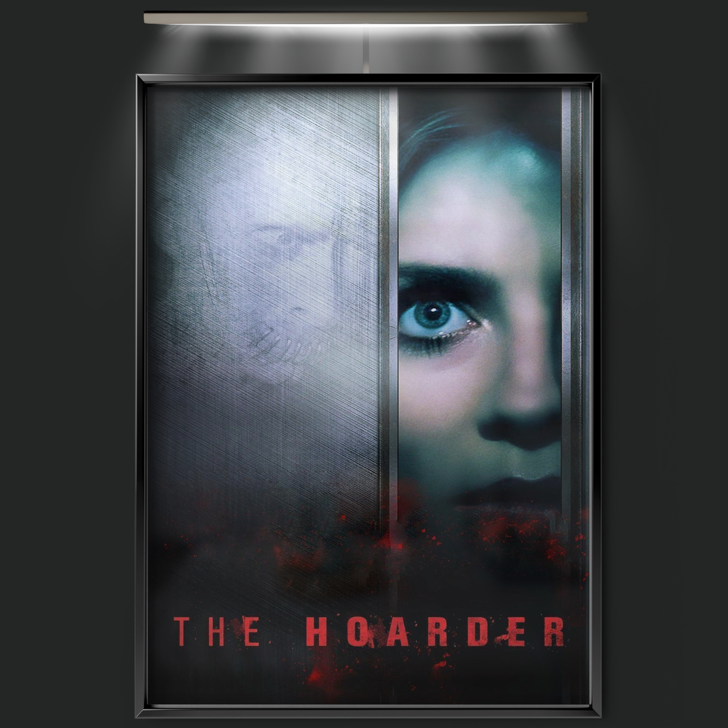 The Hoarder (2015)