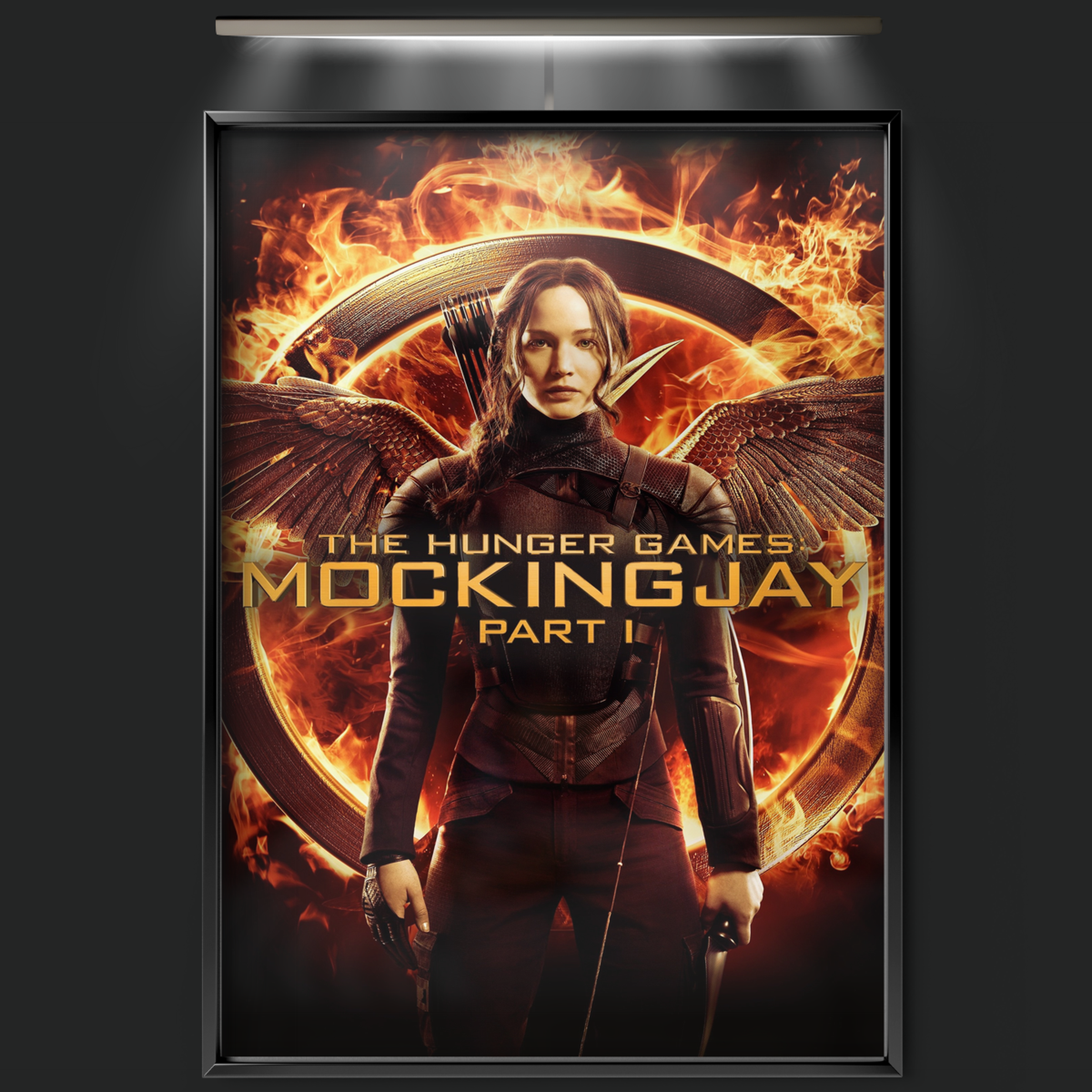 The Hunger Games Mockingjay Part 1 (2014)